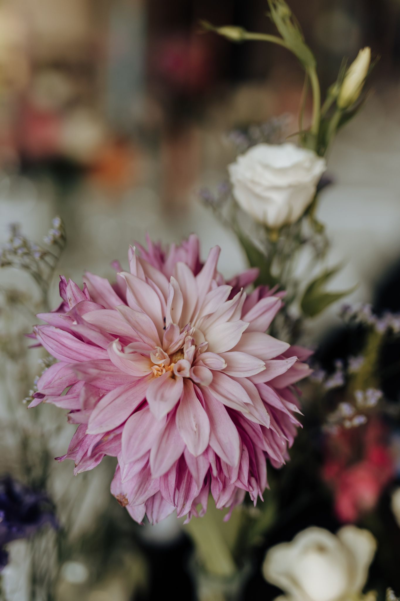 Close-up of a pink dahlia bloom with layered petals among mixed floral arrangements.