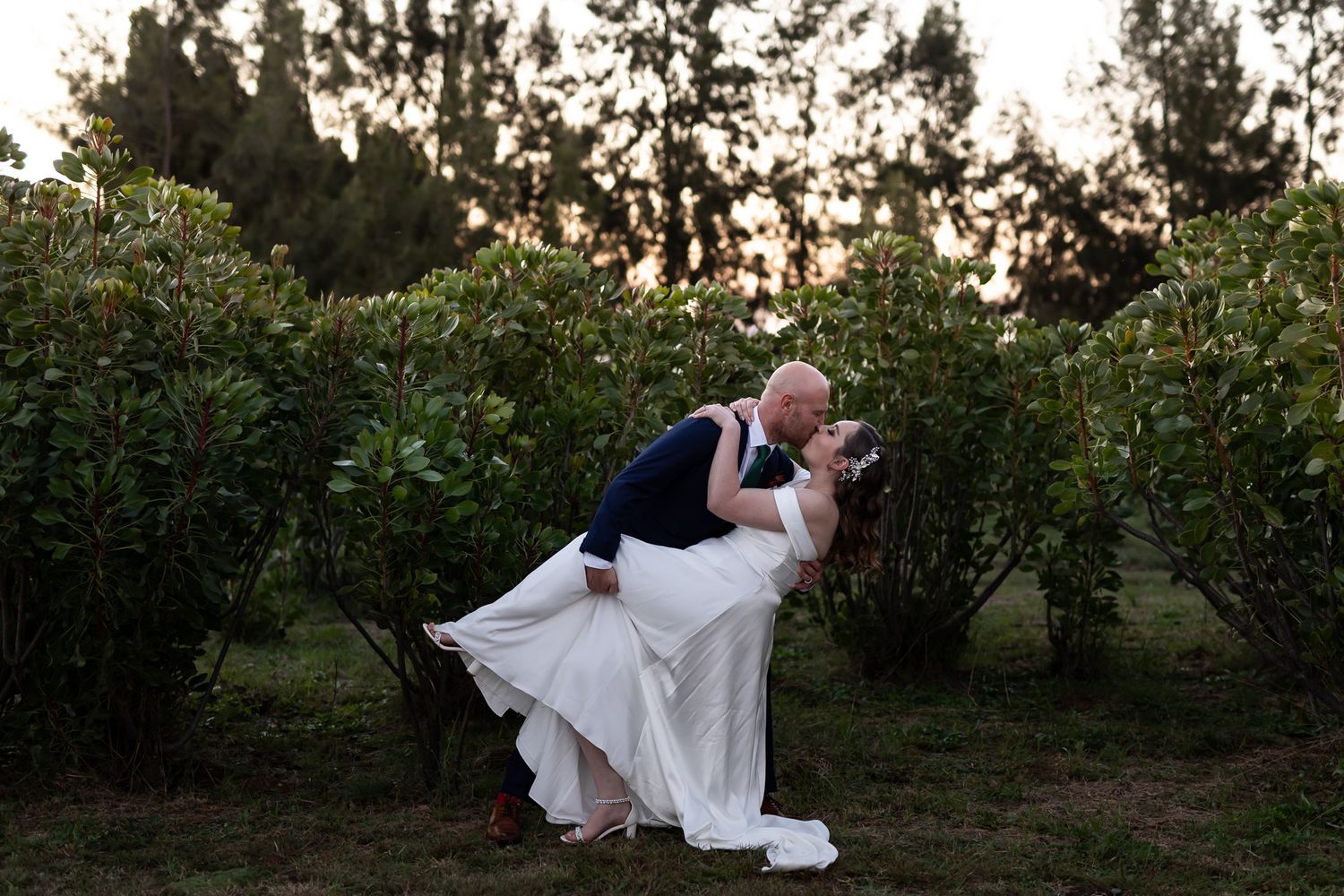 A dramatic dip pose during sunset in a garden setting on their wedding day.