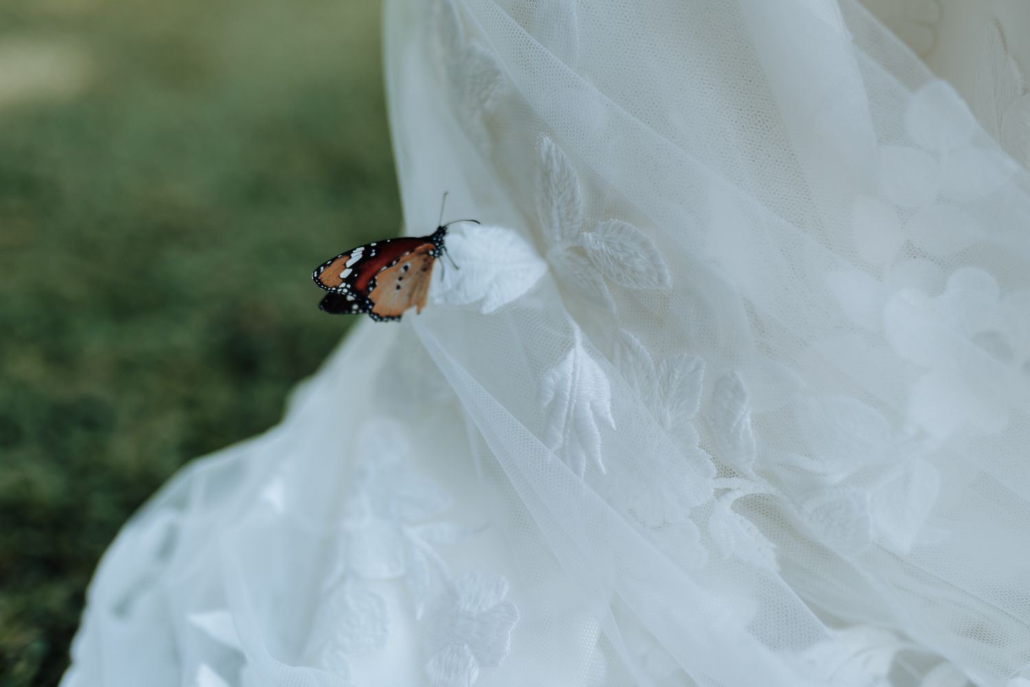 Beautiful butterfly perched on white wedding dress fabric in sunlit garden.