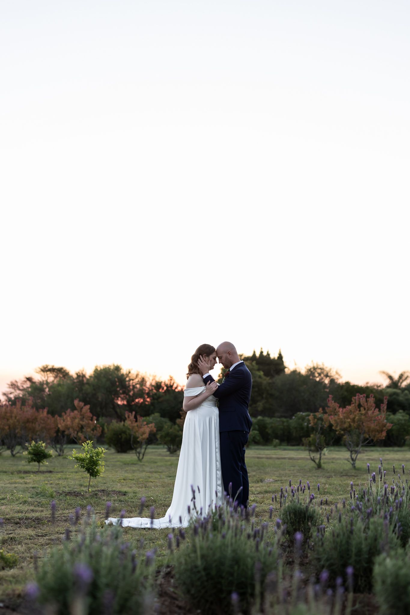 Newlyweds embrace in a lavender field at dusk.