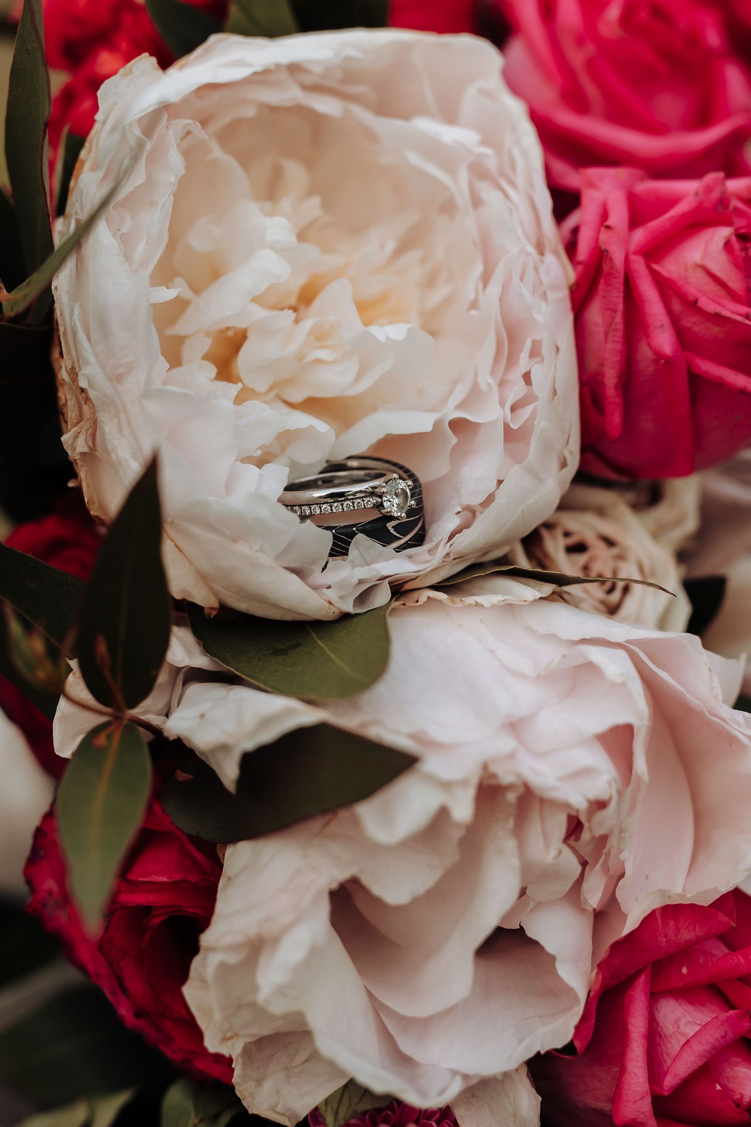 Wedding rings nestled in soft pink and red roses with delicate petals.