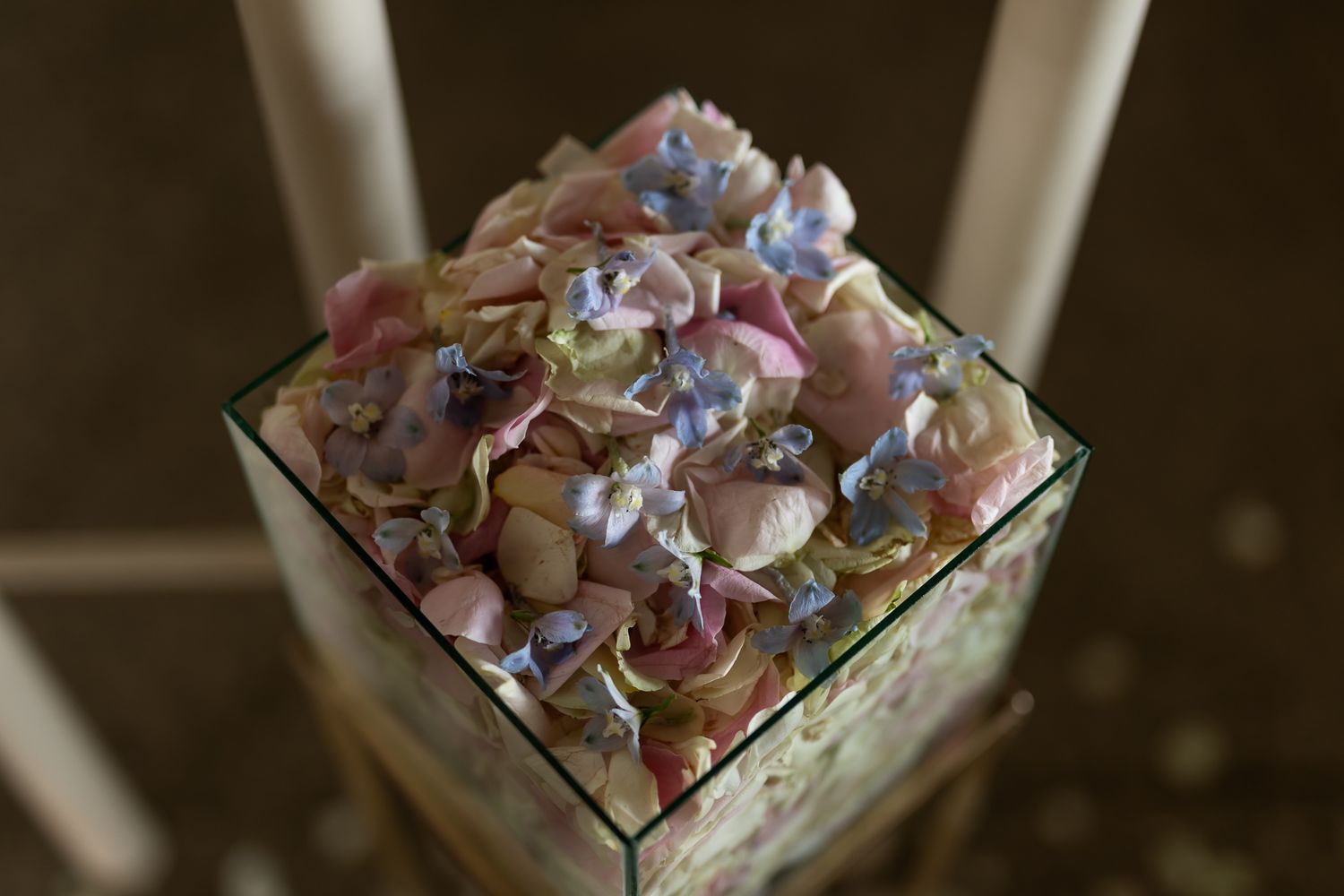 Artful arrangement of dried flower petals in crystal vase with soft lighting.