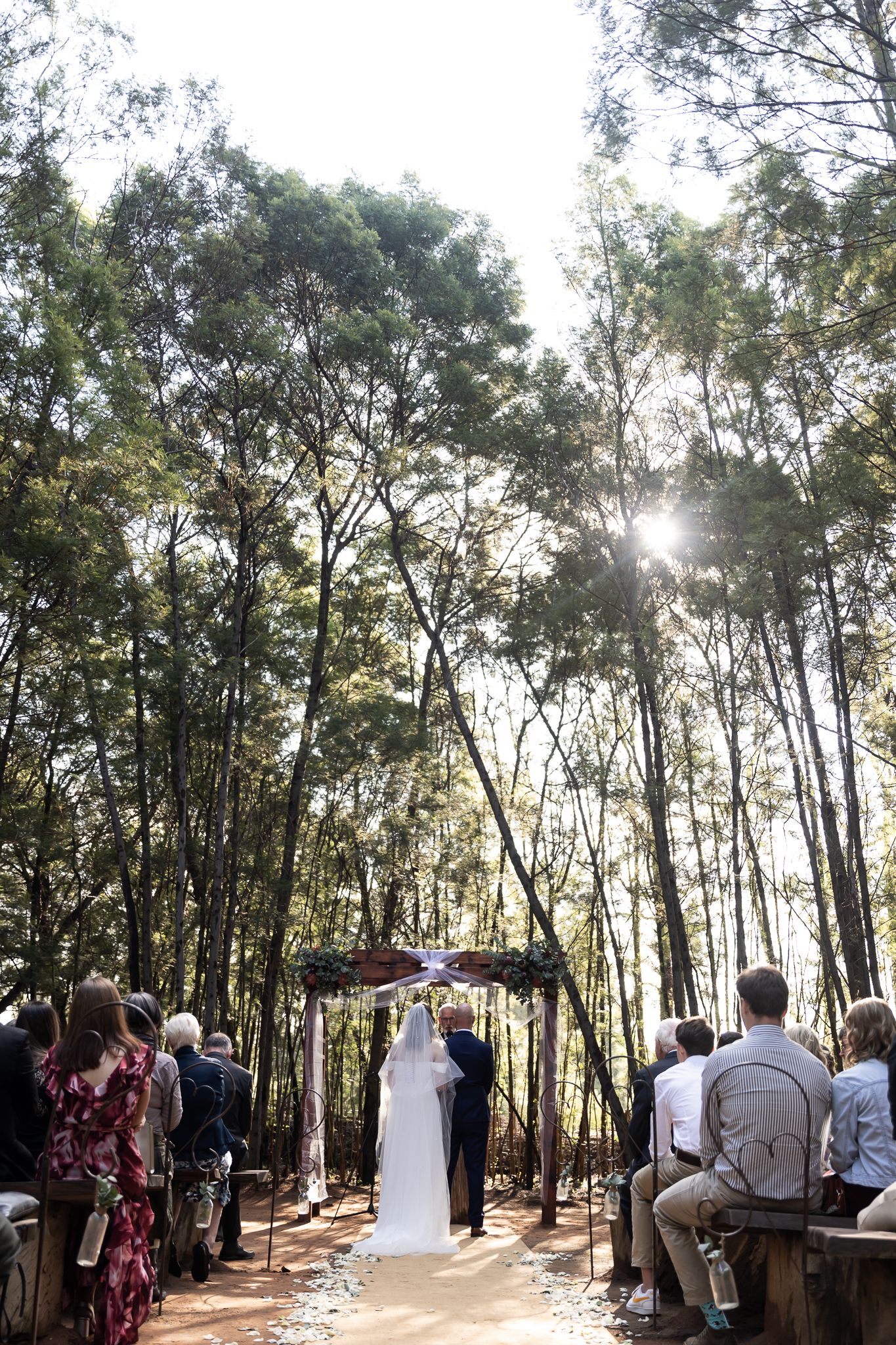 Sunlight streams through trees during an outdoor wedding ceremony with guests seated on wooden benches.