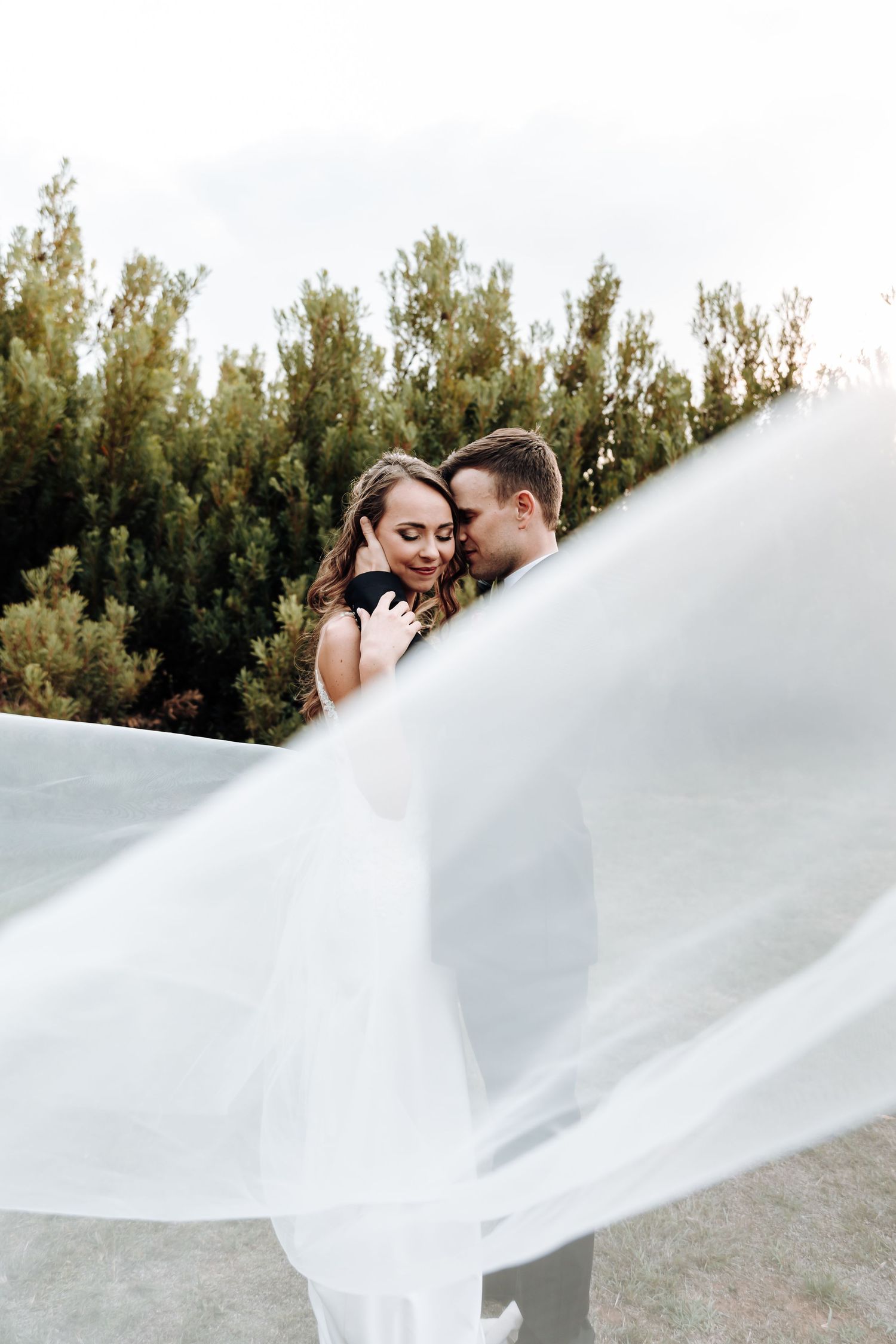 Intimate wedding portrait with flowing white veil surrounding newlyweds against evergreen backdrop.