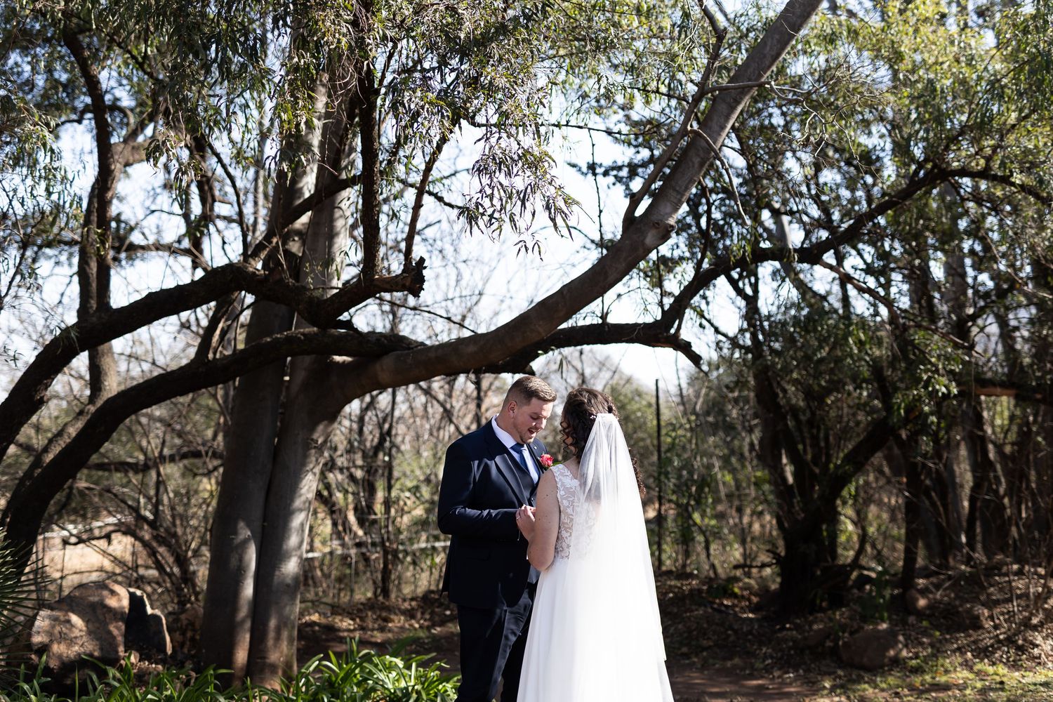 A couple in formal wedding attire stands together under trees in a natural outdoor setting.