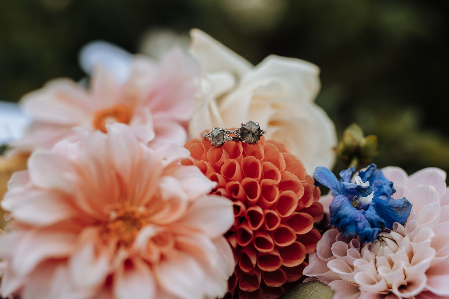 Beautiful pink and coral dahlias with a touch of blue flowers in an elegant floral arrangement.