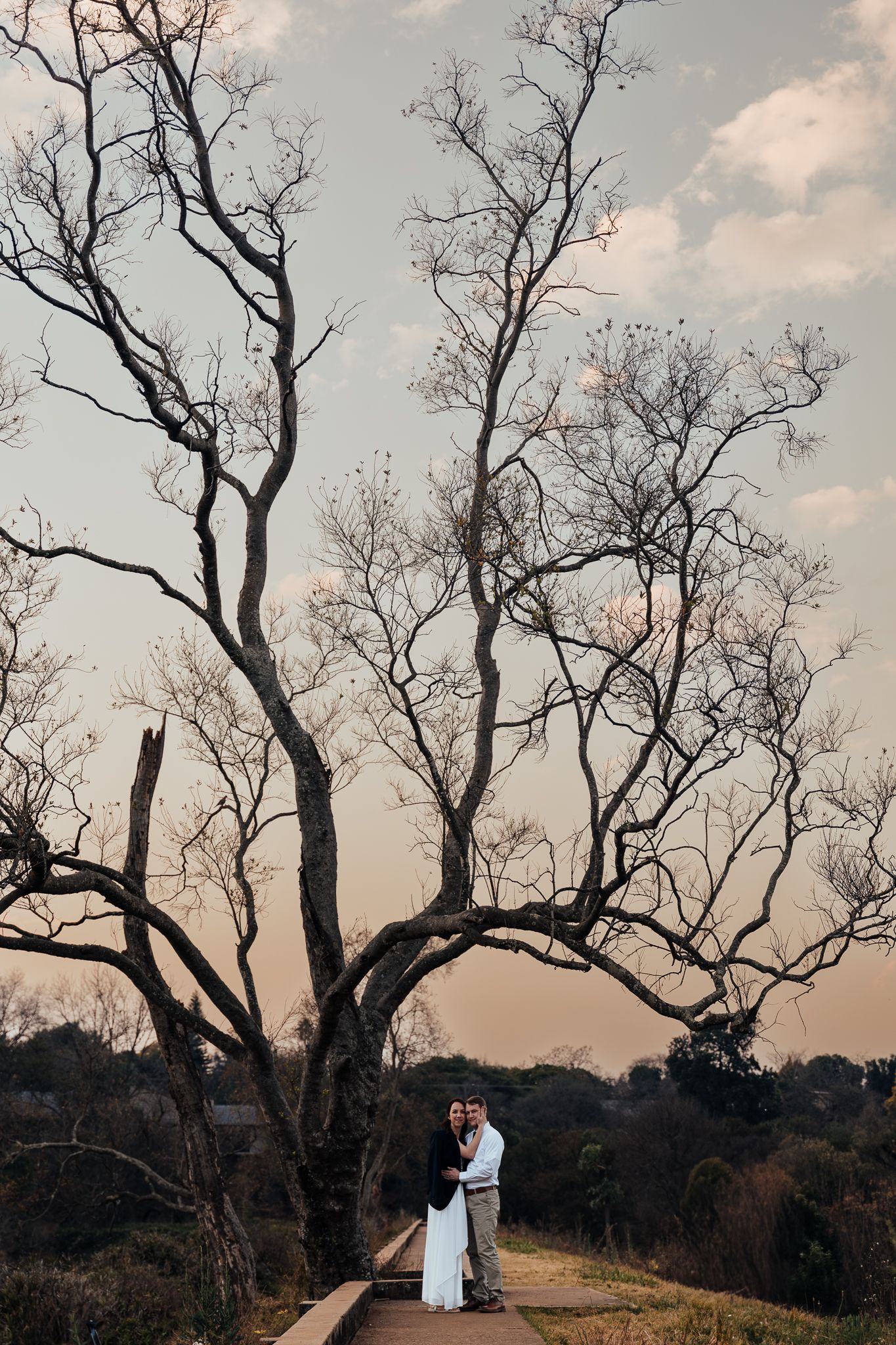 A dramatic silhouette of a couple standing beneath bare branching trees against a dusky sky.