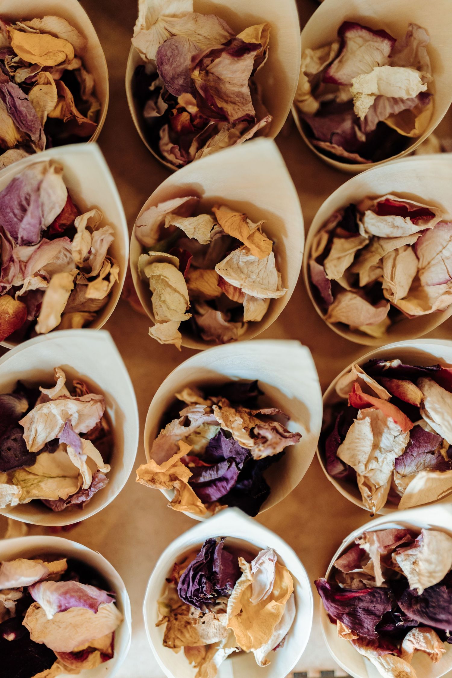 Decorative dried flower petals arranged in white paper cones for wedding toss.