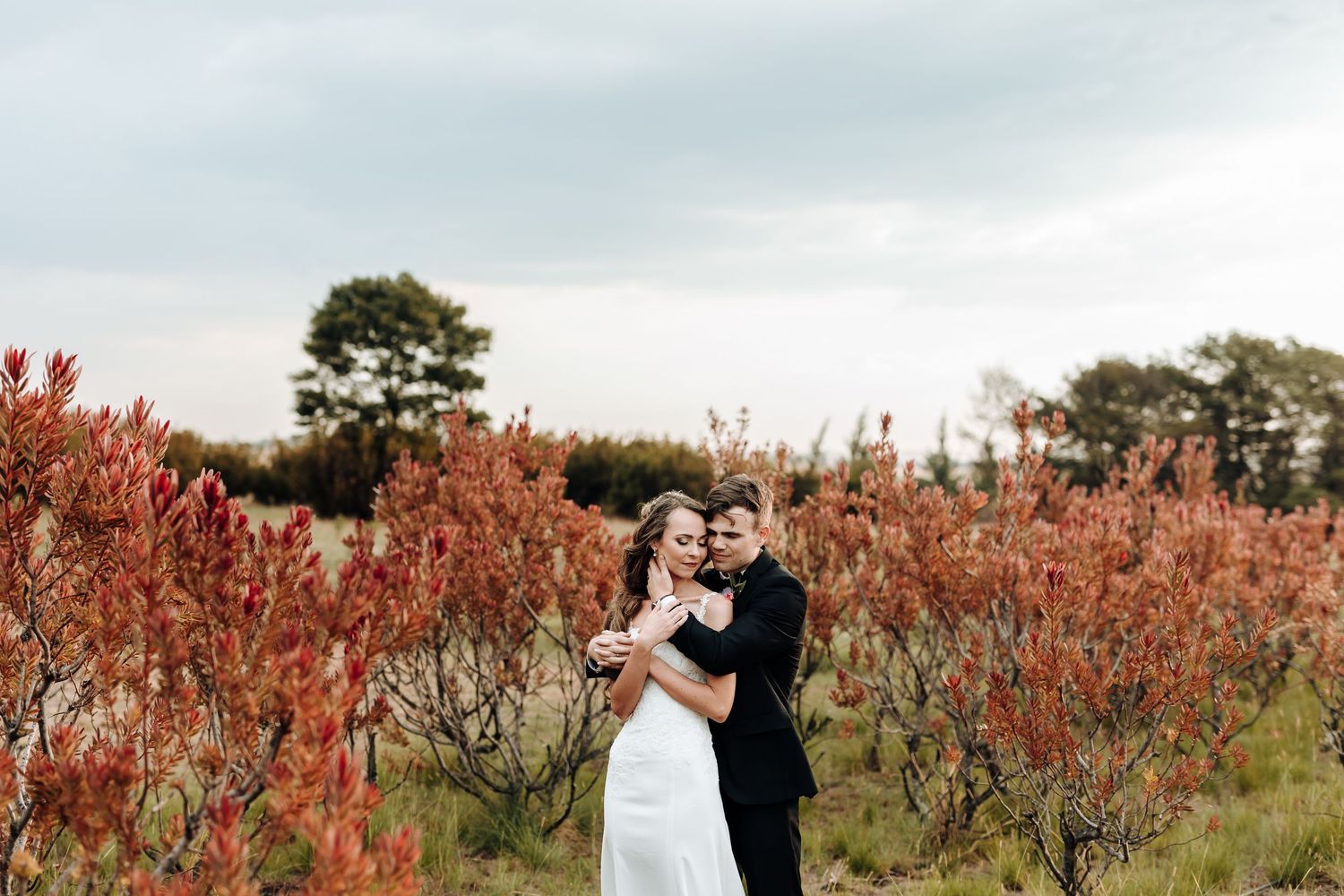 A romantic wedding moment captured amongst red fall bushes during an outdoor photoshoot.