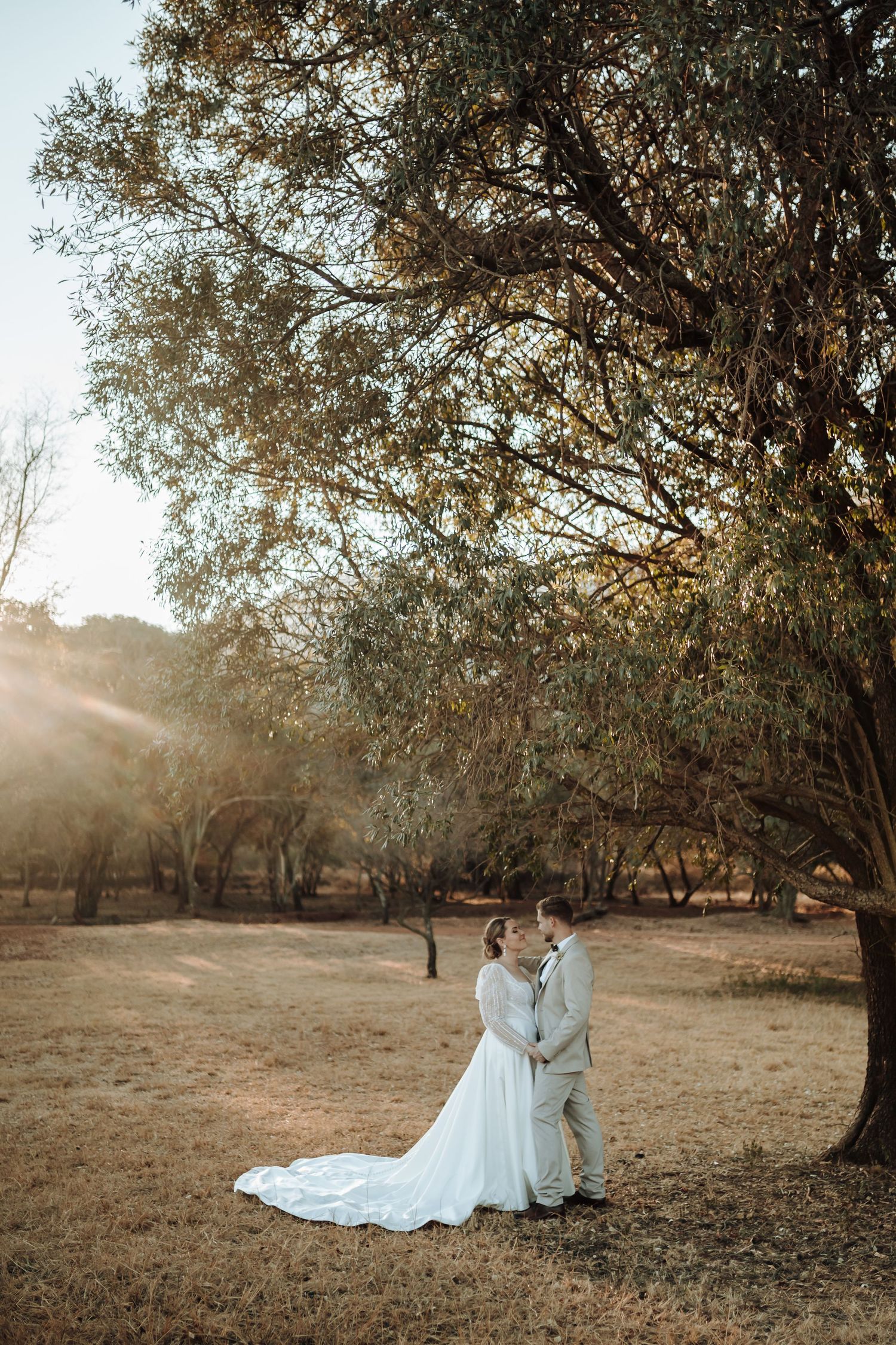Sunlit forest wedding portrait with couple standing beneath towering trees.