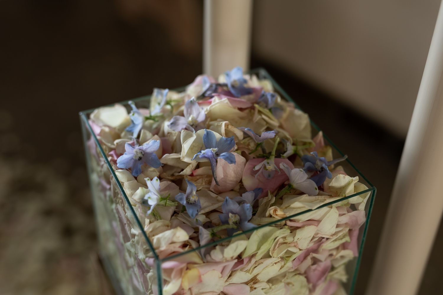 Close-up of delicate pastel hydrangea petals in glass container.