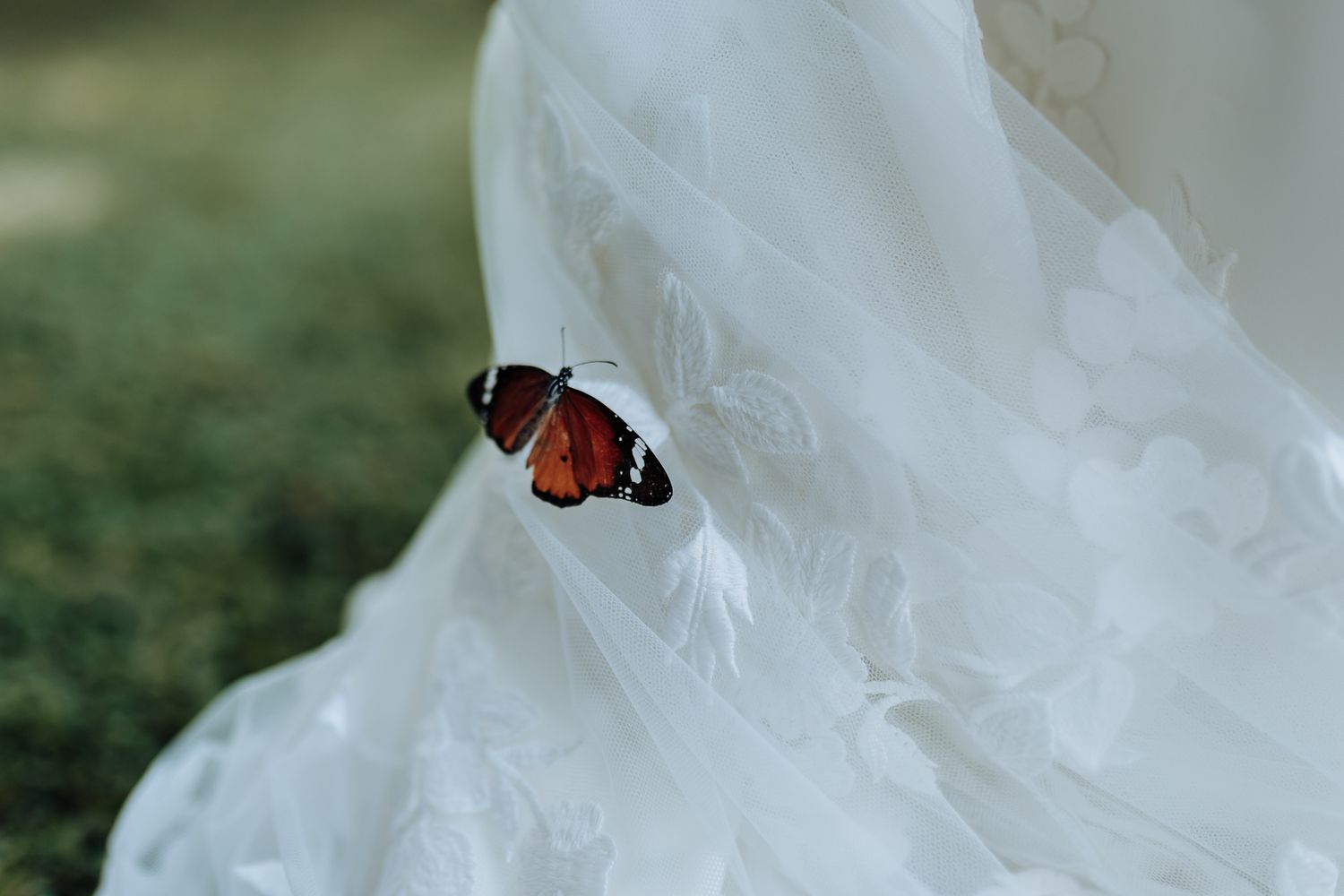 Monarch butterfly resting delicately on flowing white wedding dress fabric.