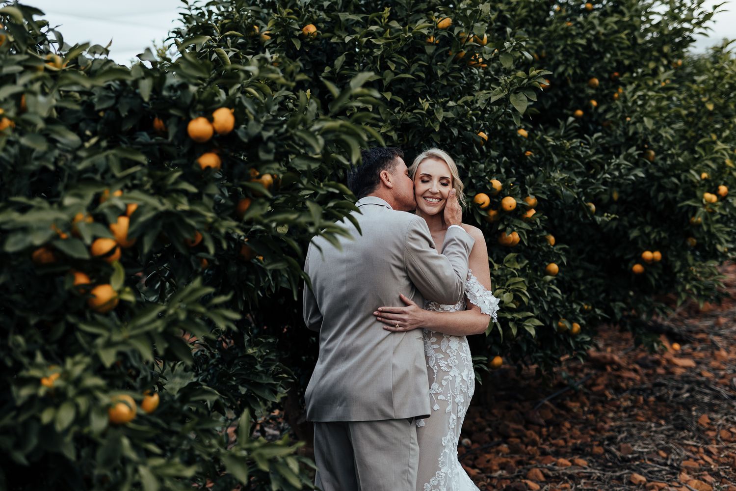 A couple embraces in a sunny citrus grove surrounded by orange trees.
