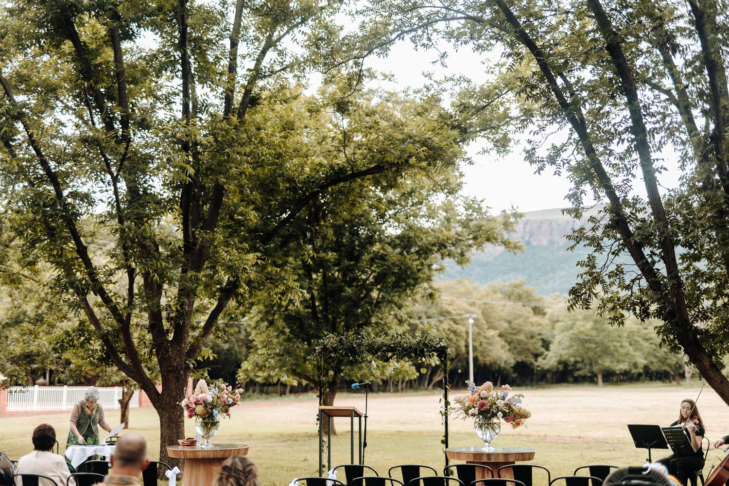 Outdoor wedding ceremony setup with rows of chairs under tall trees in a natural setting.