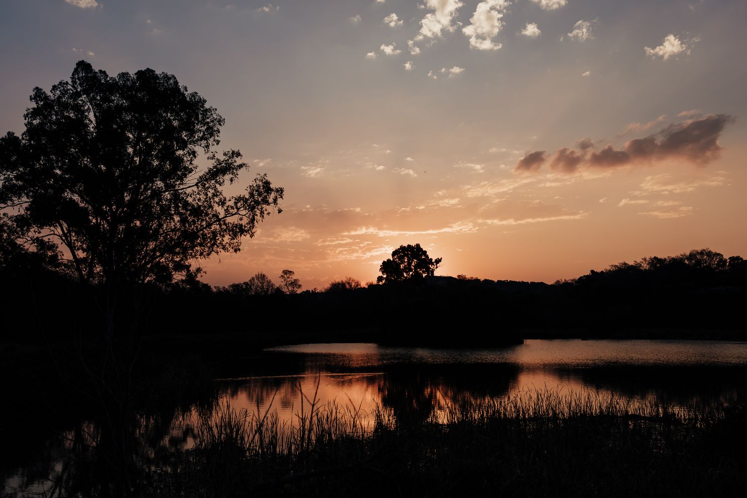 Panoramic sunset view over a serene lake with silhouetted trees and clouds.