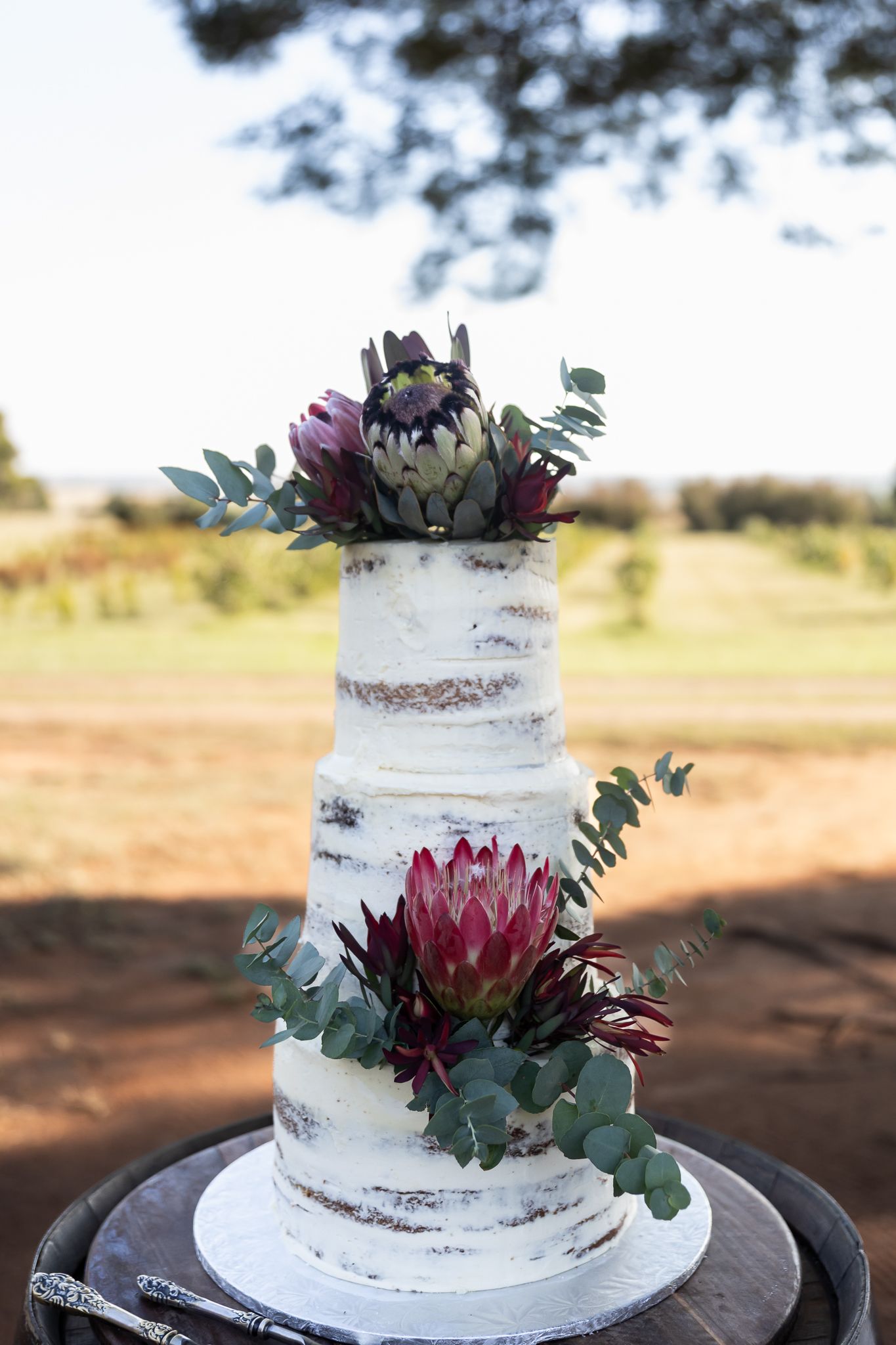 Semi-naked wedding cake decorated with burgundy protea flowers and eucalyptus on a rustic outdoor table setting.