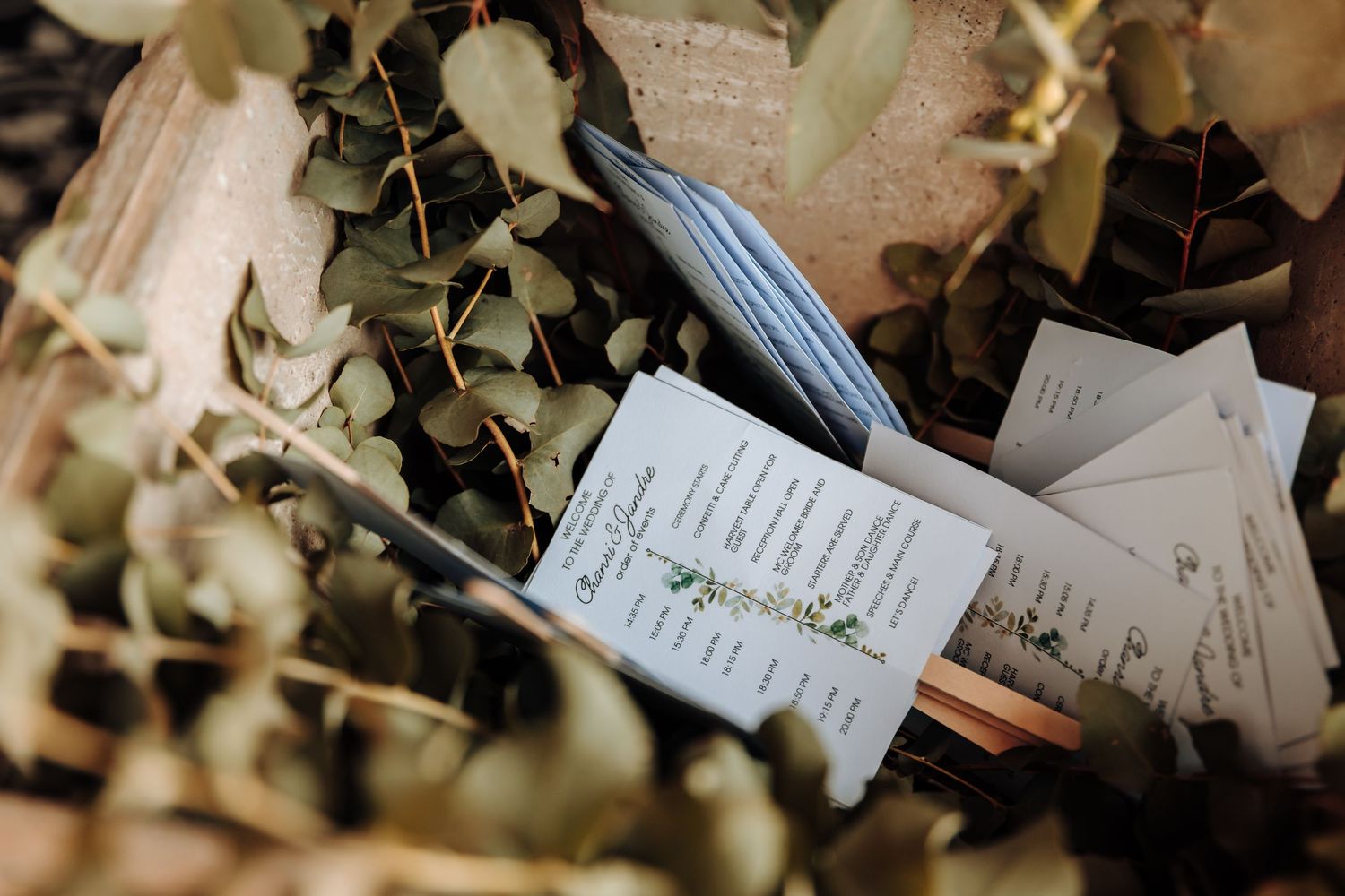 Wedding ceremony program cards nestled among greenery and floral decor.