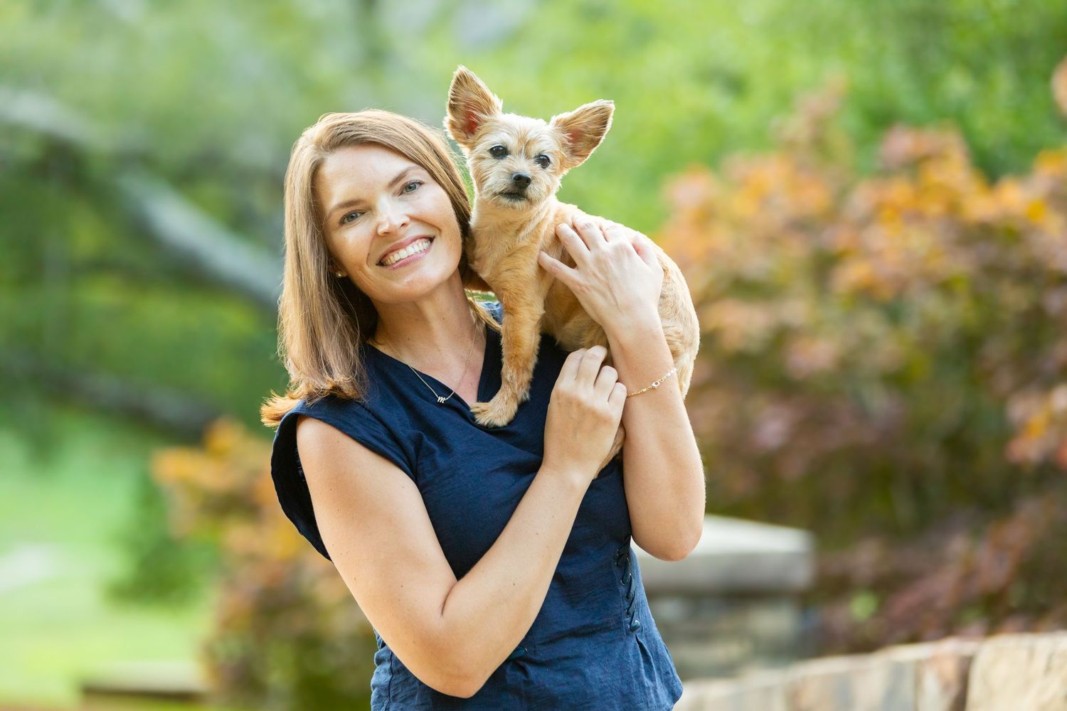A Chihuahua puppy is held up outdoors while being photographed against a natural green background.