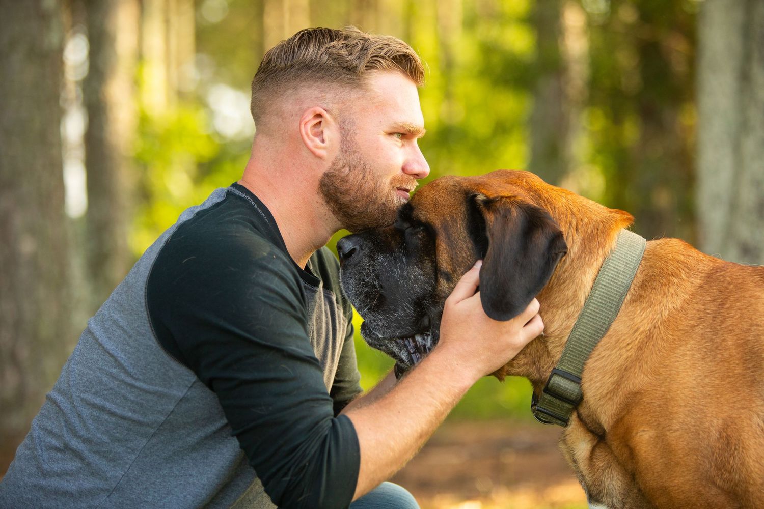 A photographer is getting close to a large brown dog in the forest to capture a detailed shot on their camera.