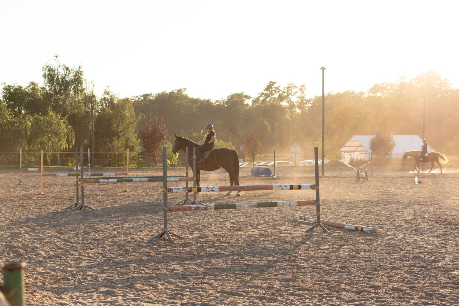klub jeździecki kj Byndas horses Sypniewo poznań armanda Szymon Byndas konie koń zdjęcia sesja zdjęciowa z koniem konna koń konie fotograf