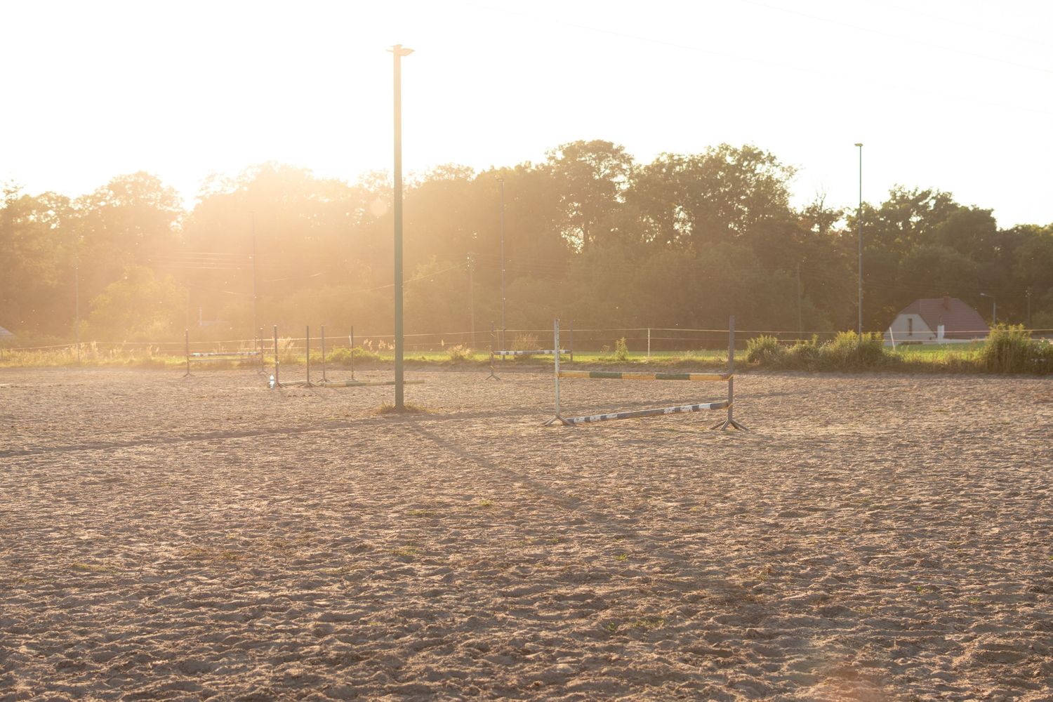 klub jeździecki kj Byndas horses Sypniewo poznań armanda Szymon Byndas konie koń zdjęcia sesja zdjęciowa z koniem konna koń konie fotograf
