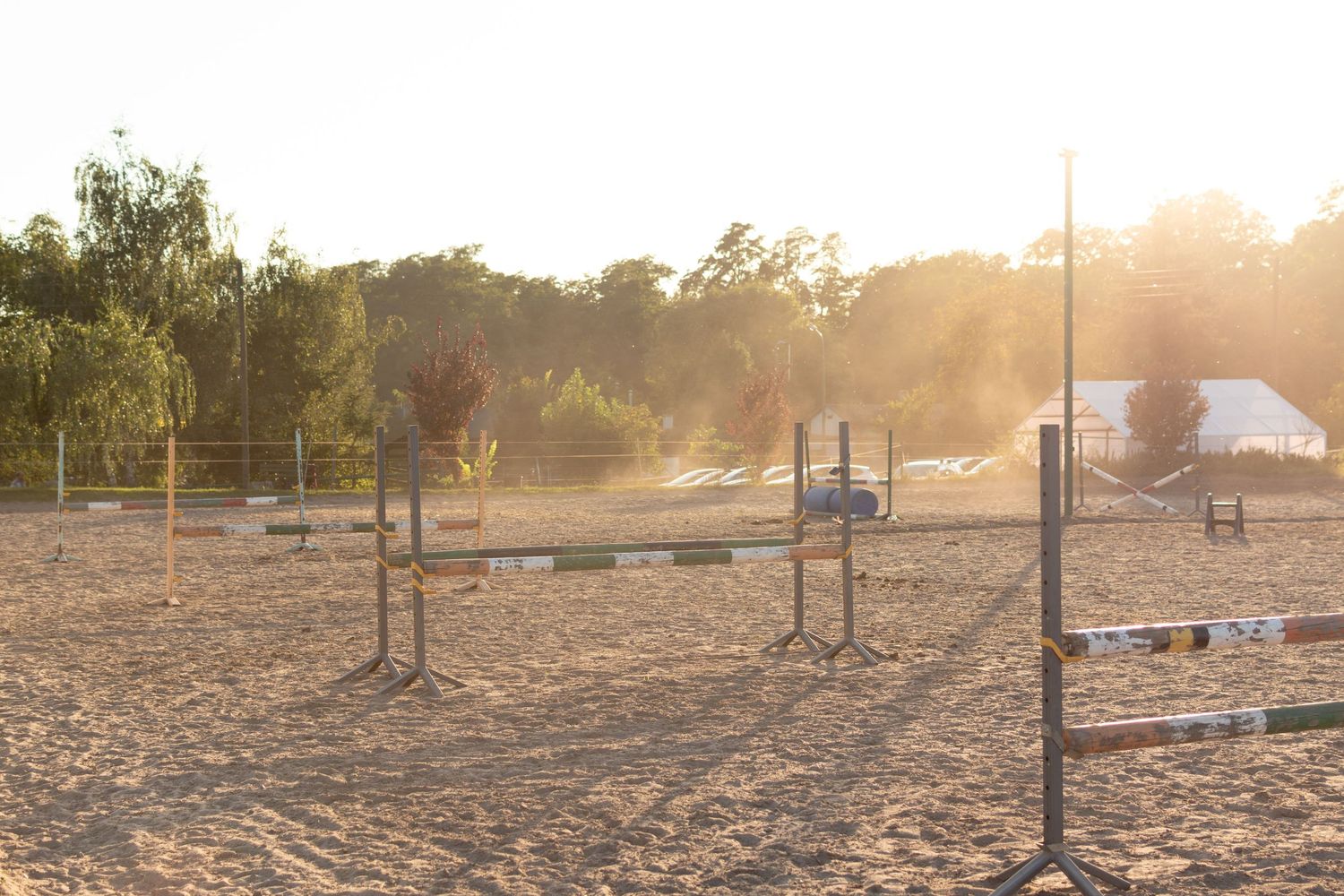 klub jeździecki kj Byndas horses Sypniewo poznań armanda Szymon Byndas konie koń zdjęcia sesja zdjęciowa z koniem konna koń konie fotograf