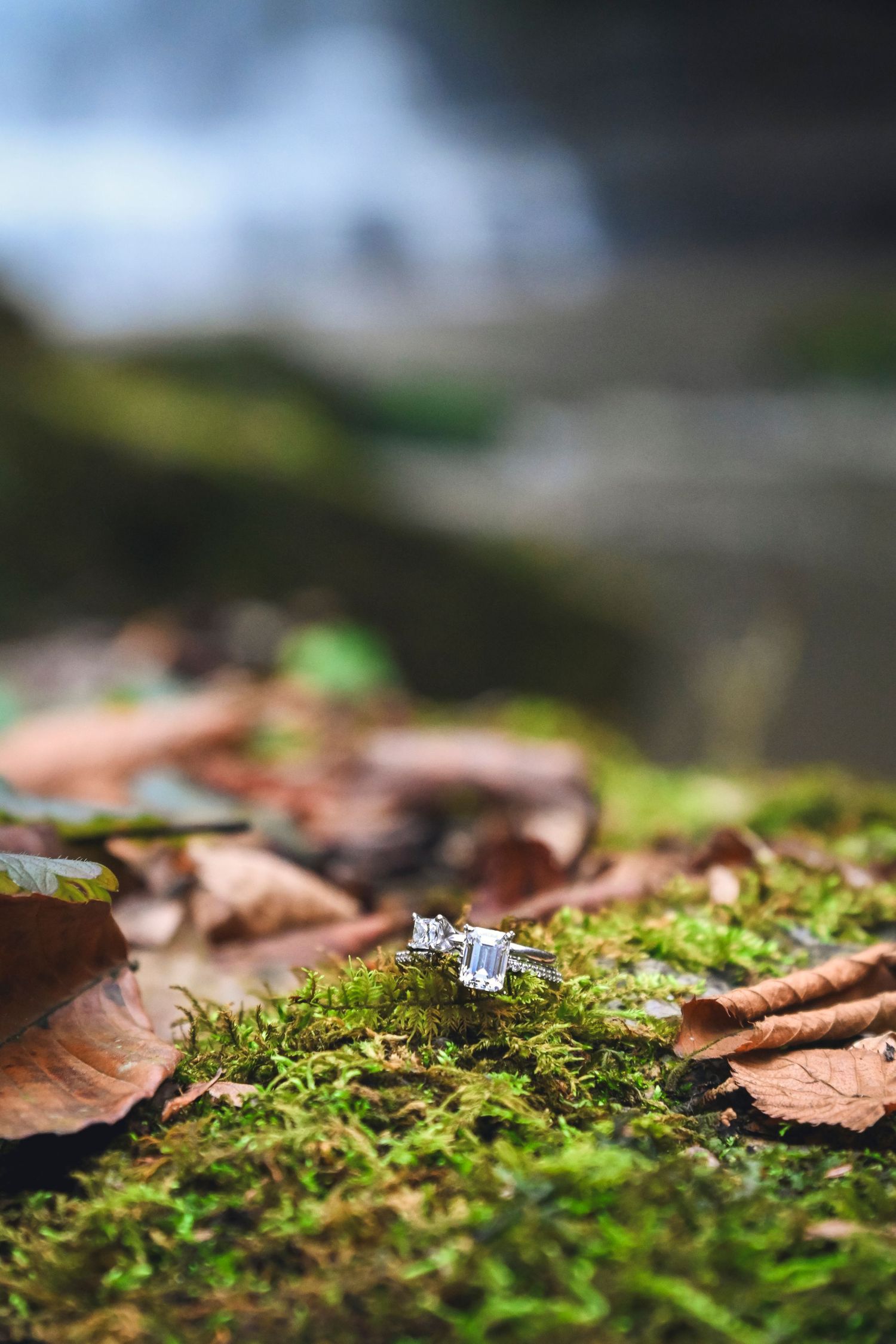 A sparkling diamond engagement ring rests on vibrant green moss surrounded by fallen autumn leaves in soft focus.