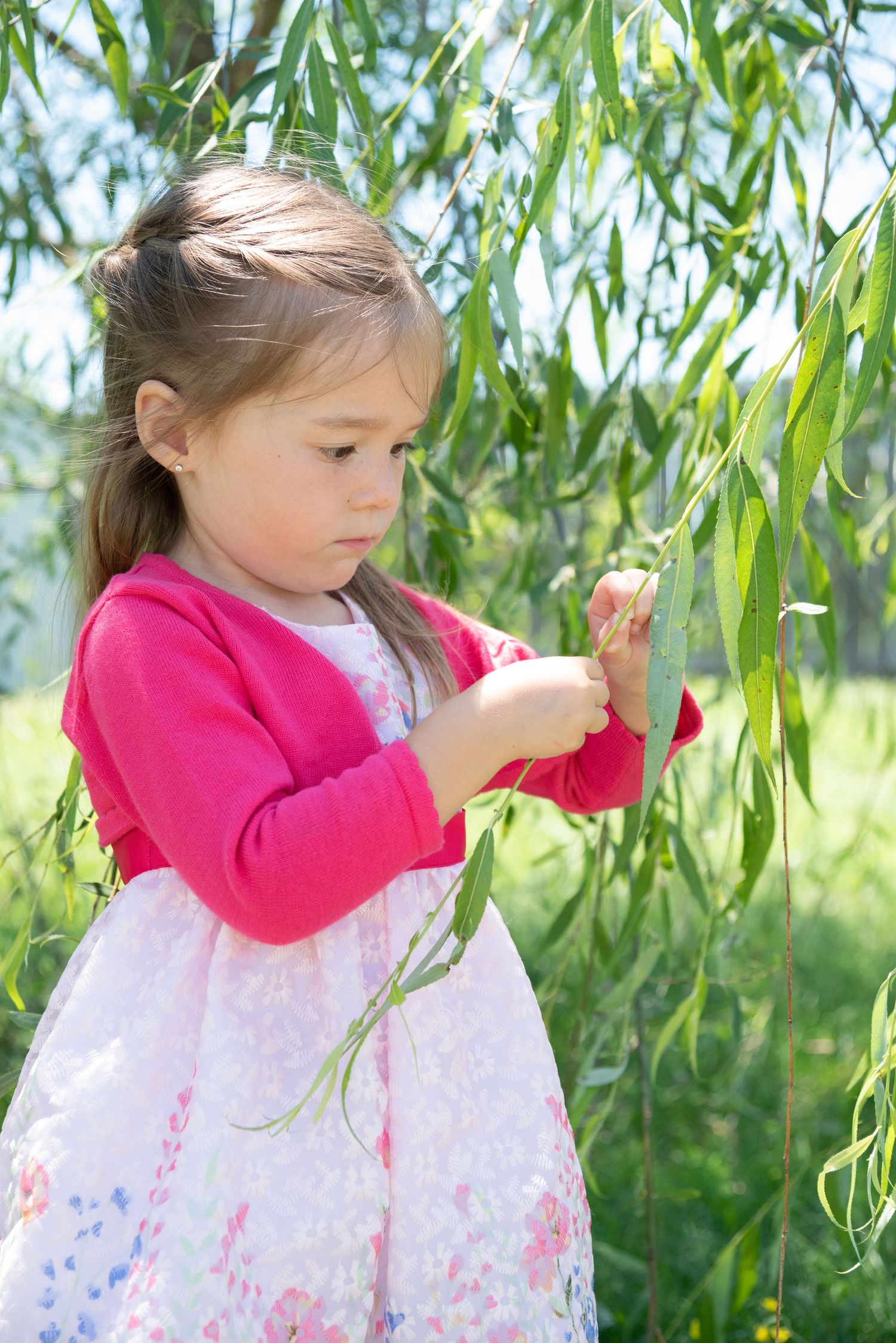 This angle shows the world from the child's perspective. The bokeh creates greater depth as the beautiful blue sky and willow leaves soften.