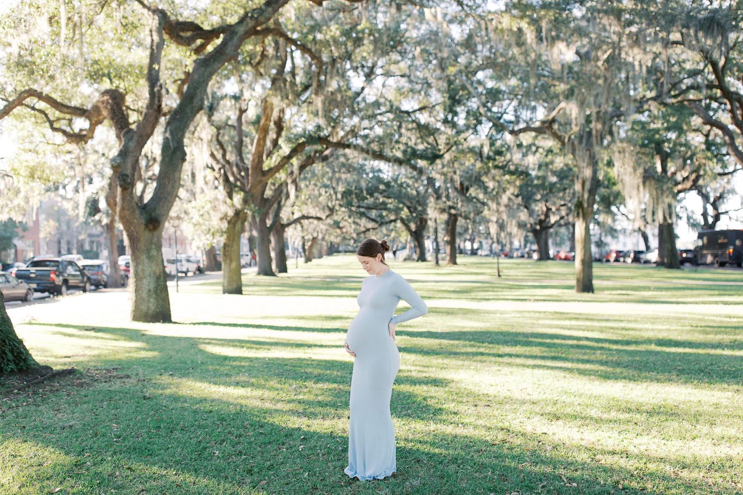 Row of white paper bags illuminated by sunlight line a path through a scenic park with moss-draped oak trees.