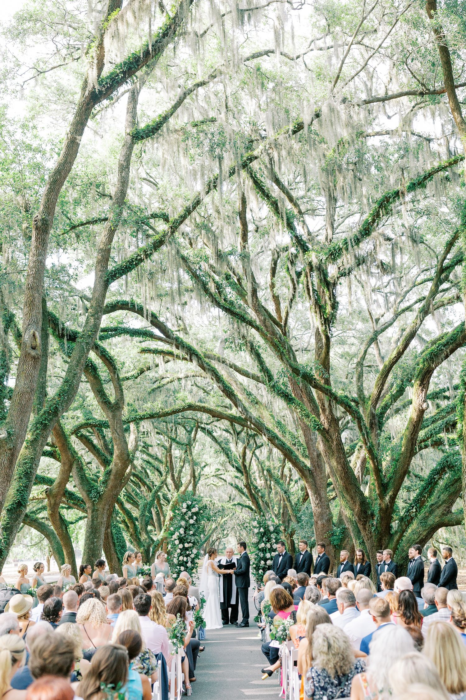 Outdoor wedding ceremony under a canopy of Spanish moss-draped oak trees with guests seated on both sides of the aisle.