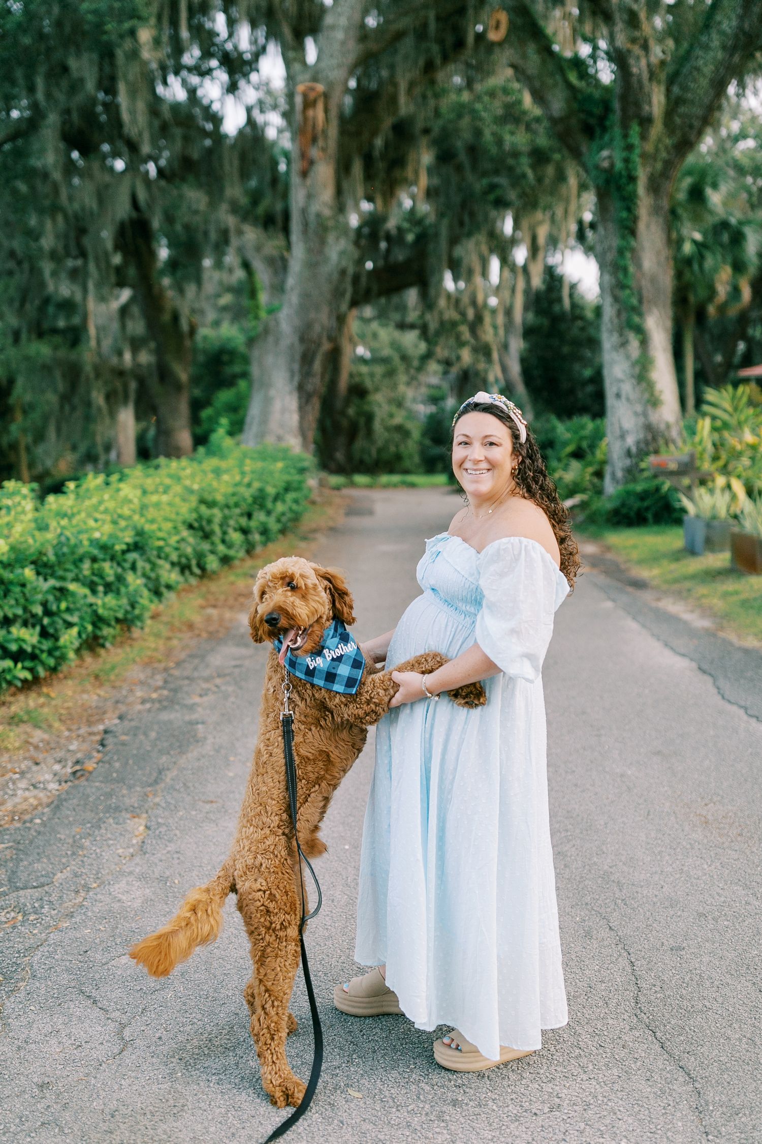 A large goldendoodle dog wearing a plaid bandana stands on hind legs next to someone in a flowing blue and white dress on a path.