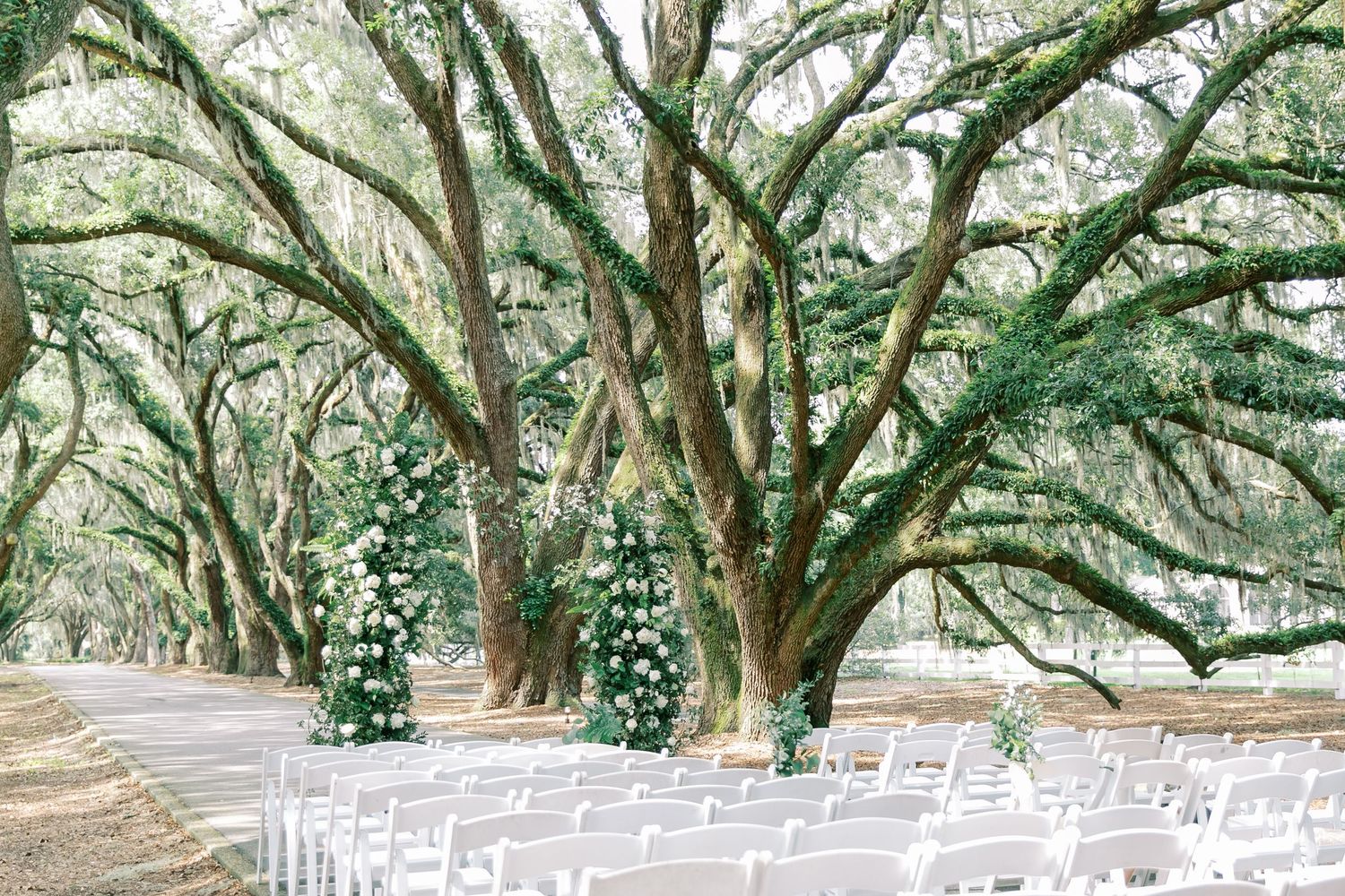 Rows of white chairs set up for an outdoor wedding ceremony under canopy of moss-draped live oak trees.