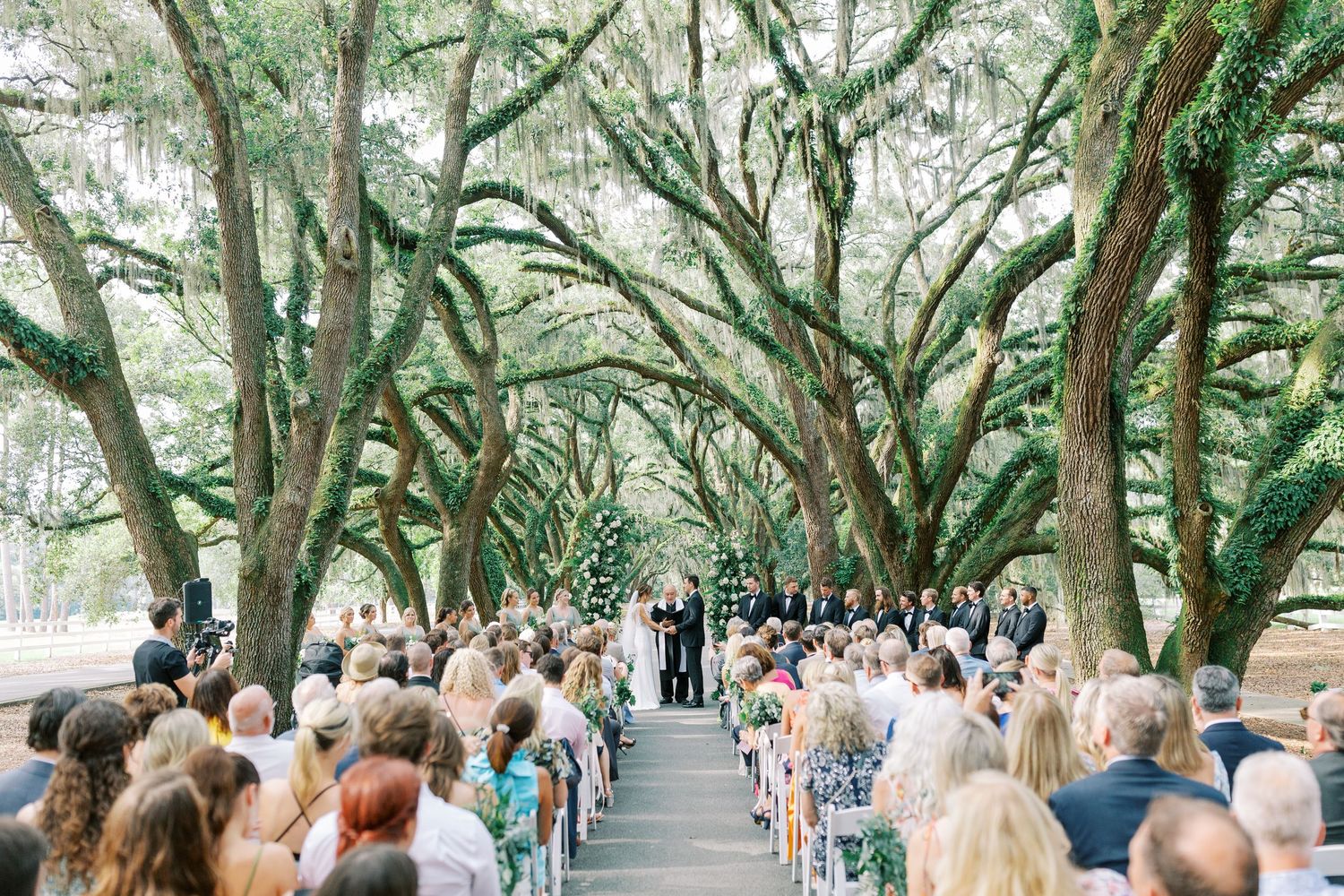 Outdoor wedding ceremony setup under canopy of oak trees with guests seated on white chairs.