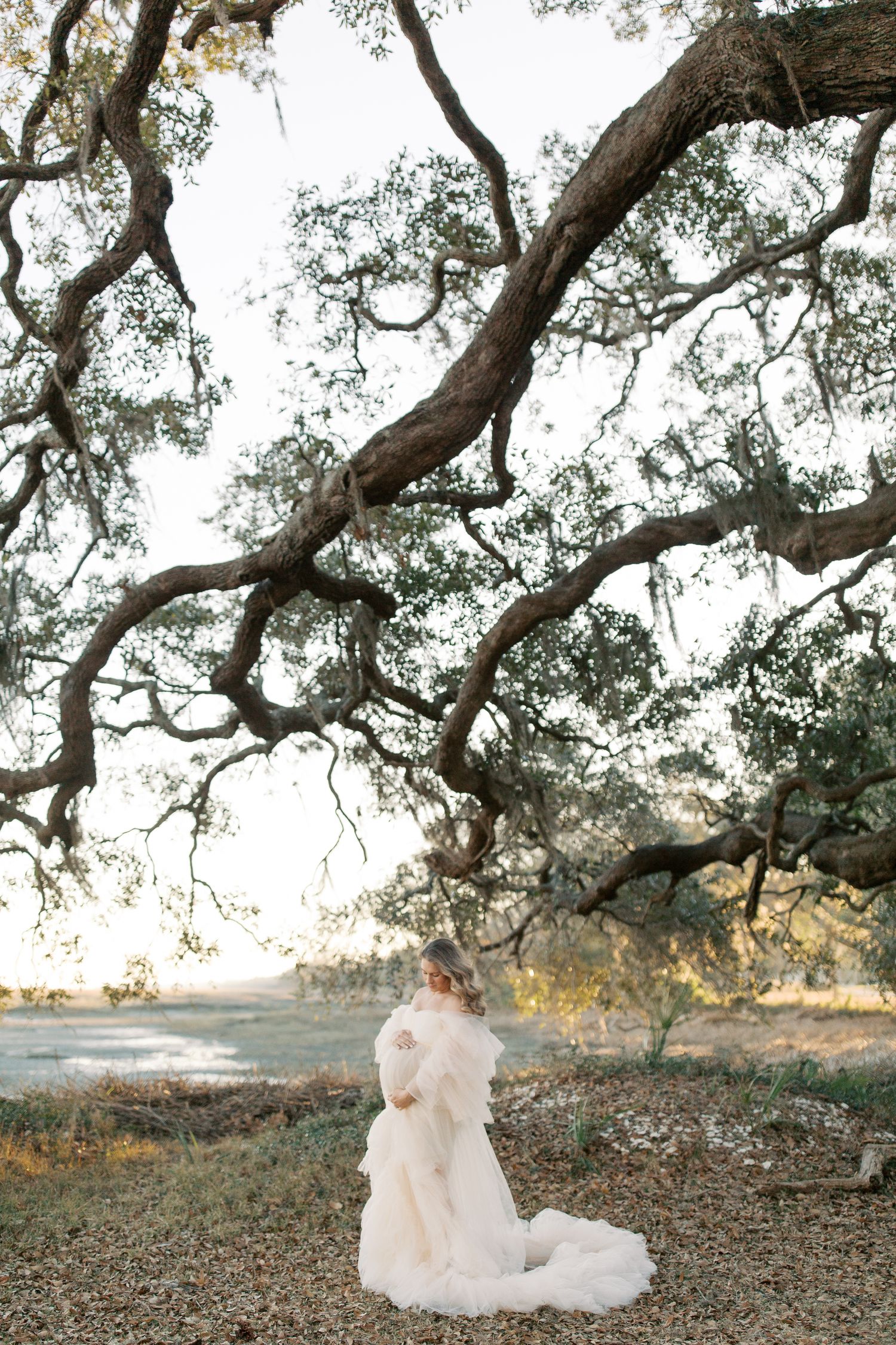 A romantic scene under a sprawling oak tree with moss-draped branches at golden hour, creating a dreamy outdoor setting.