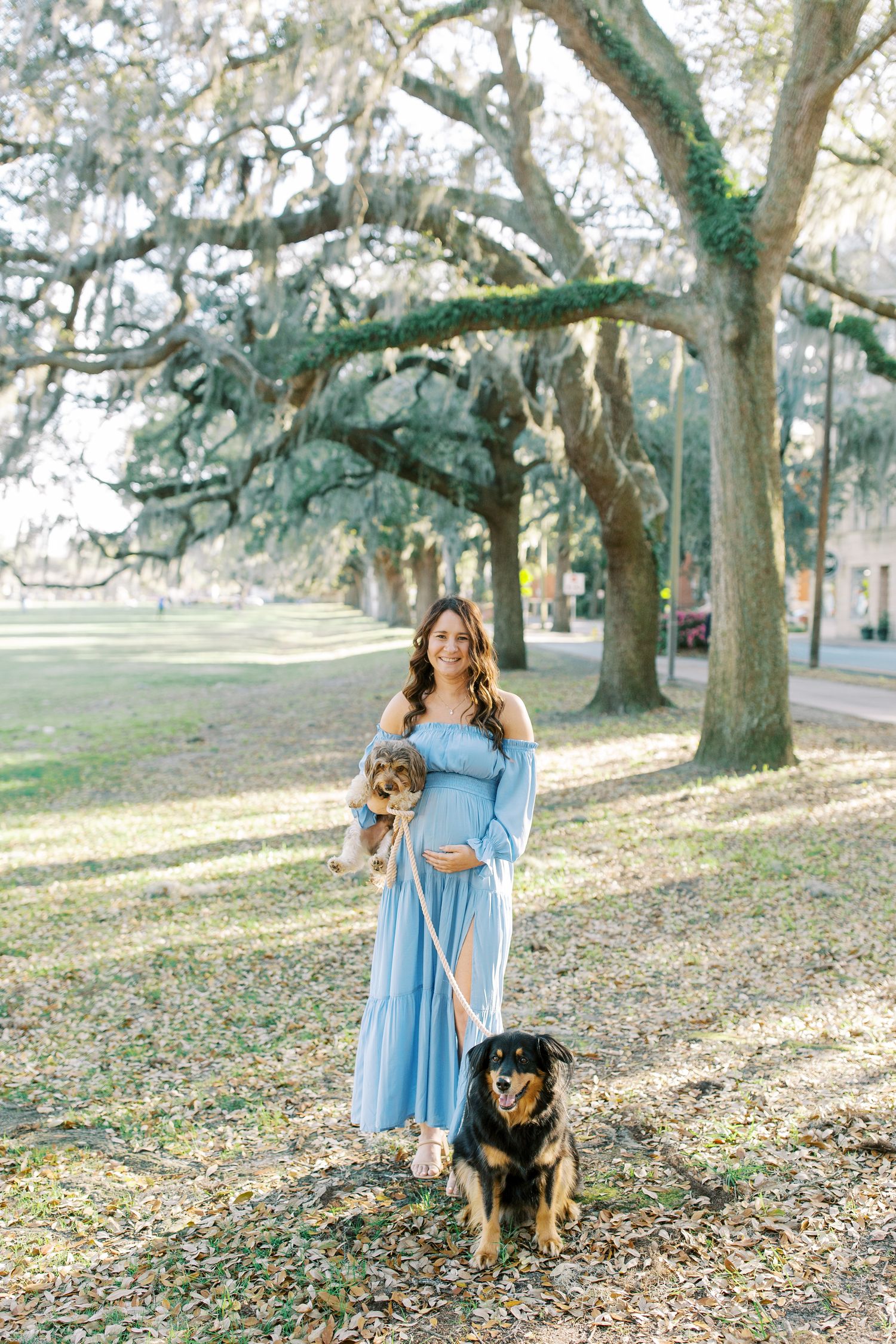 A woman in a light blue dress stands with two dogs under Spanish moss draped oak trees.