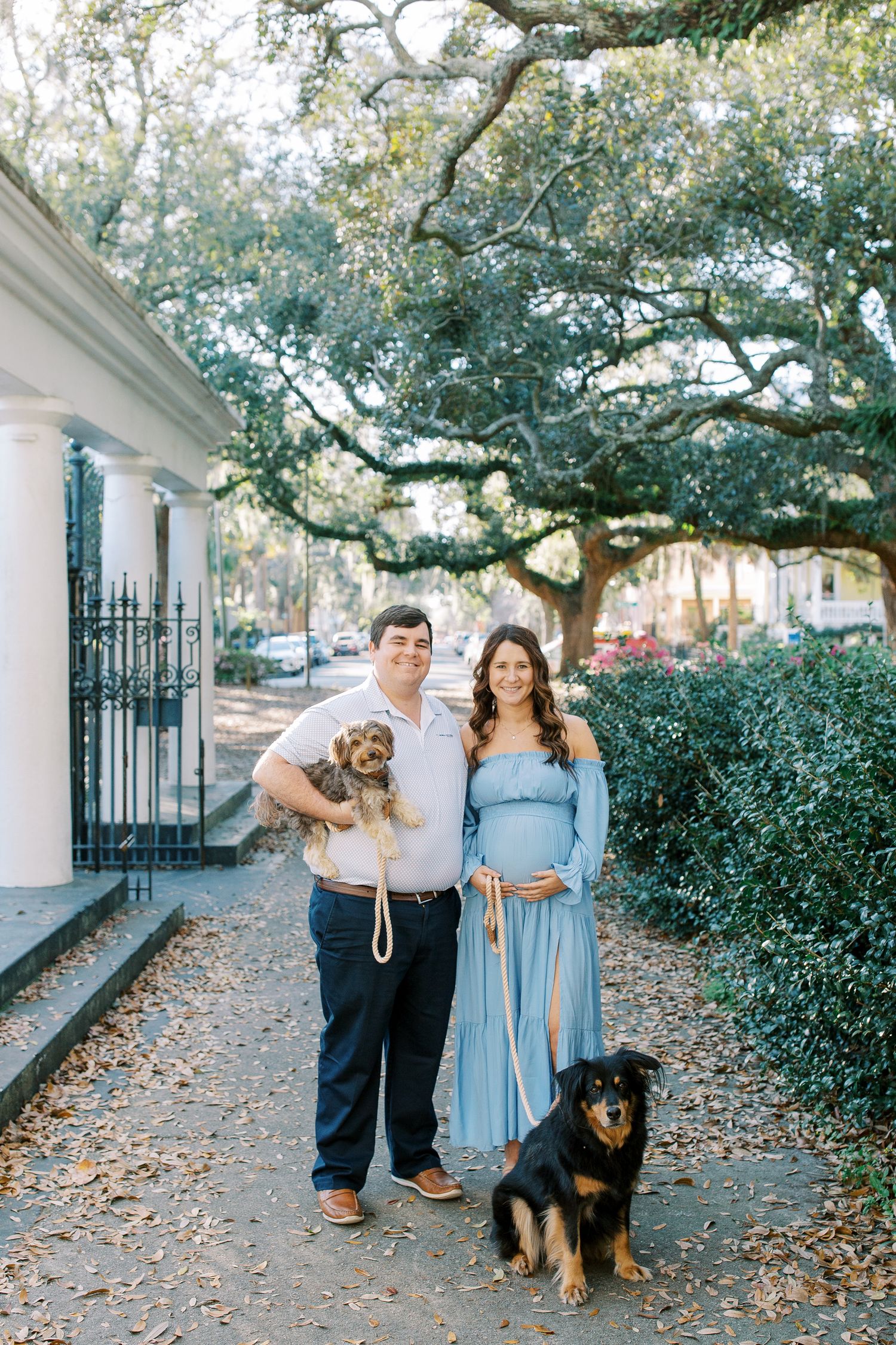 A couple stands with their two dogs on a historic street lined with oak trees and iron gates.