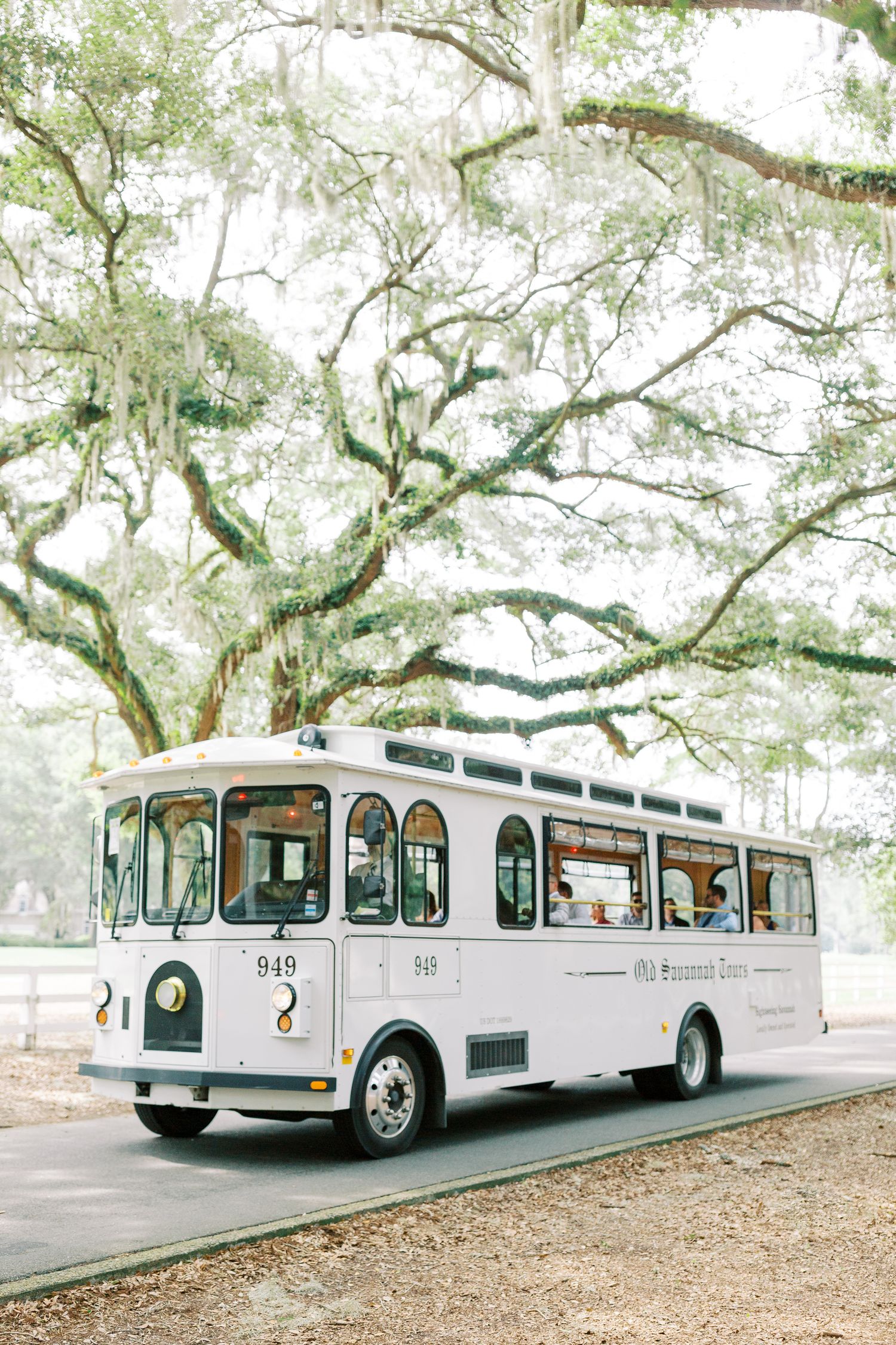 A classic white trolley bus parked under Spanish moss-draped oak trees on a dirt path.