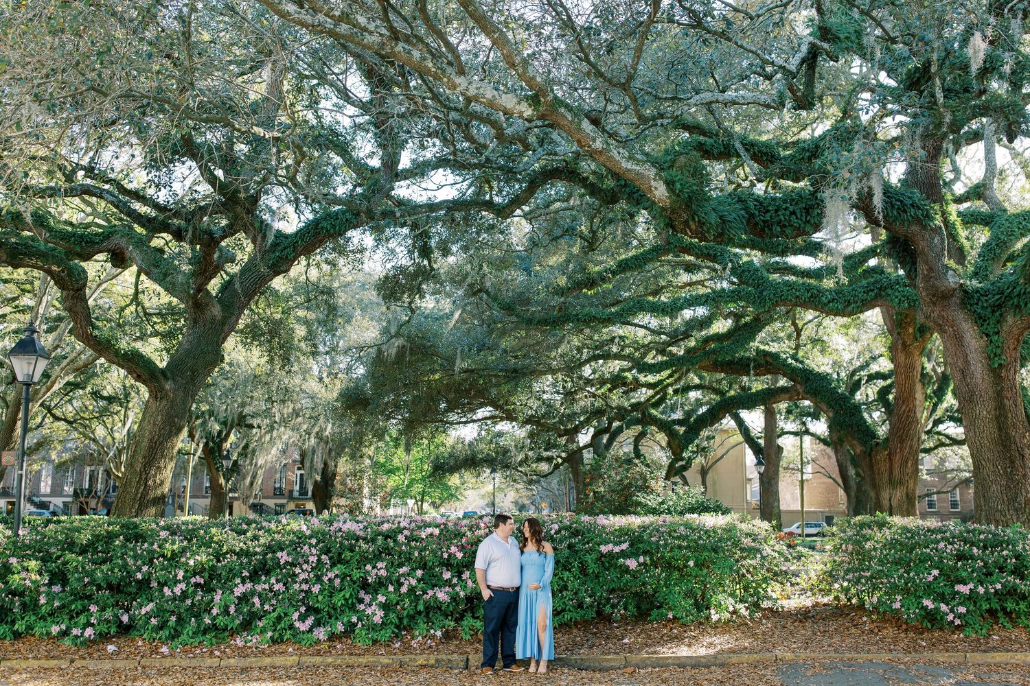 A couple stands beneath massive oak trees draped with Spanish moss in a scenic park setting.