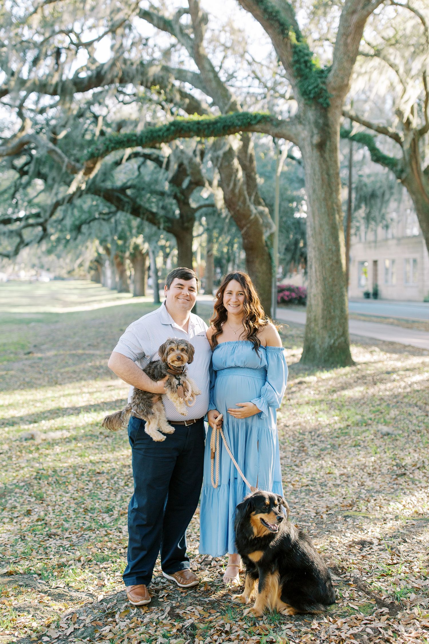 A couple with their two dogs poses under Spanish moss-draped trees in a park setting.