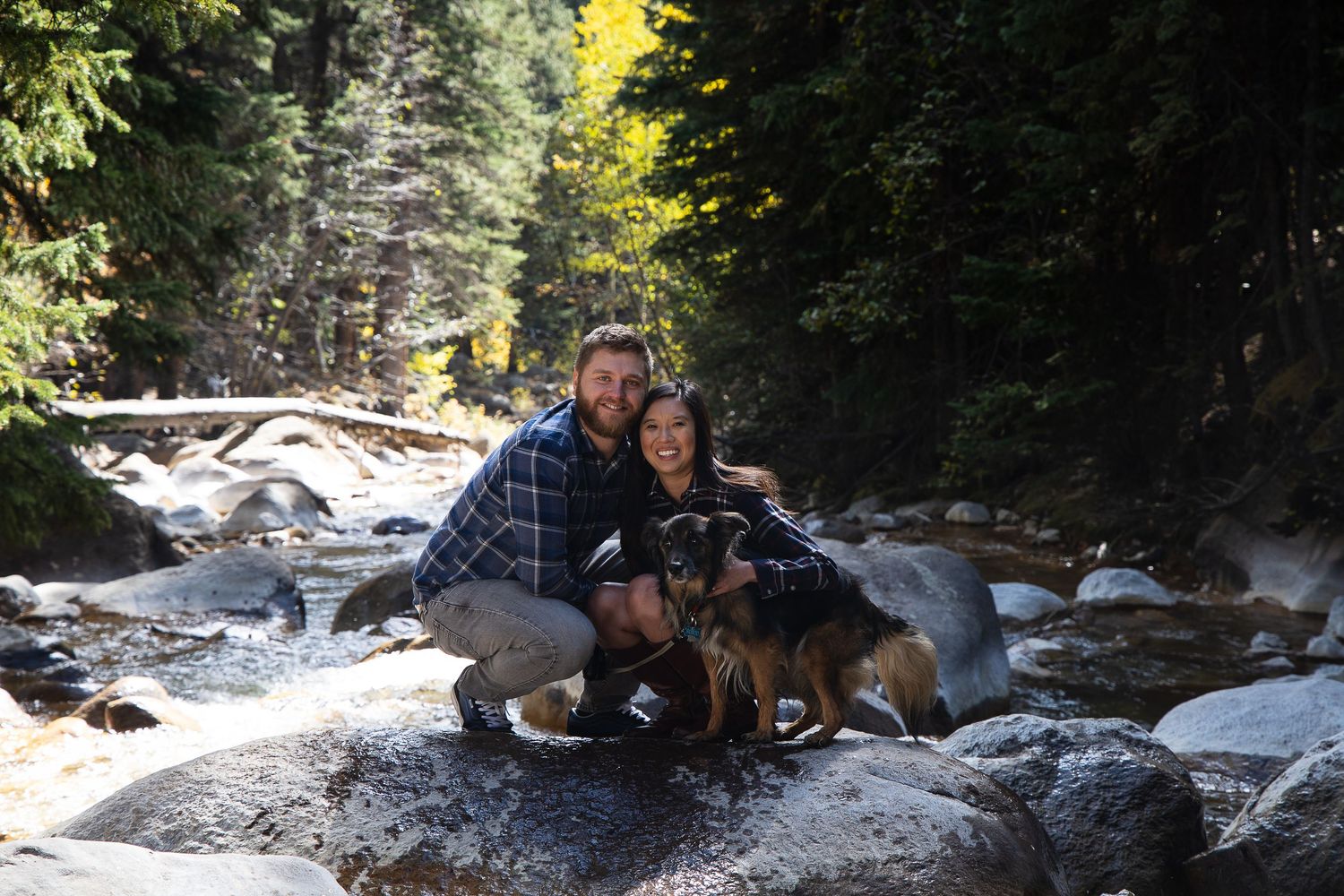 Guanella Pass Elopement in the Fall