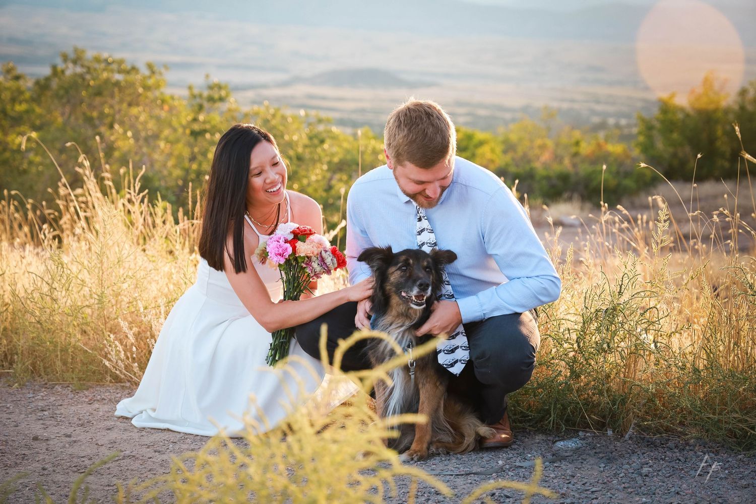 Elopement with dog