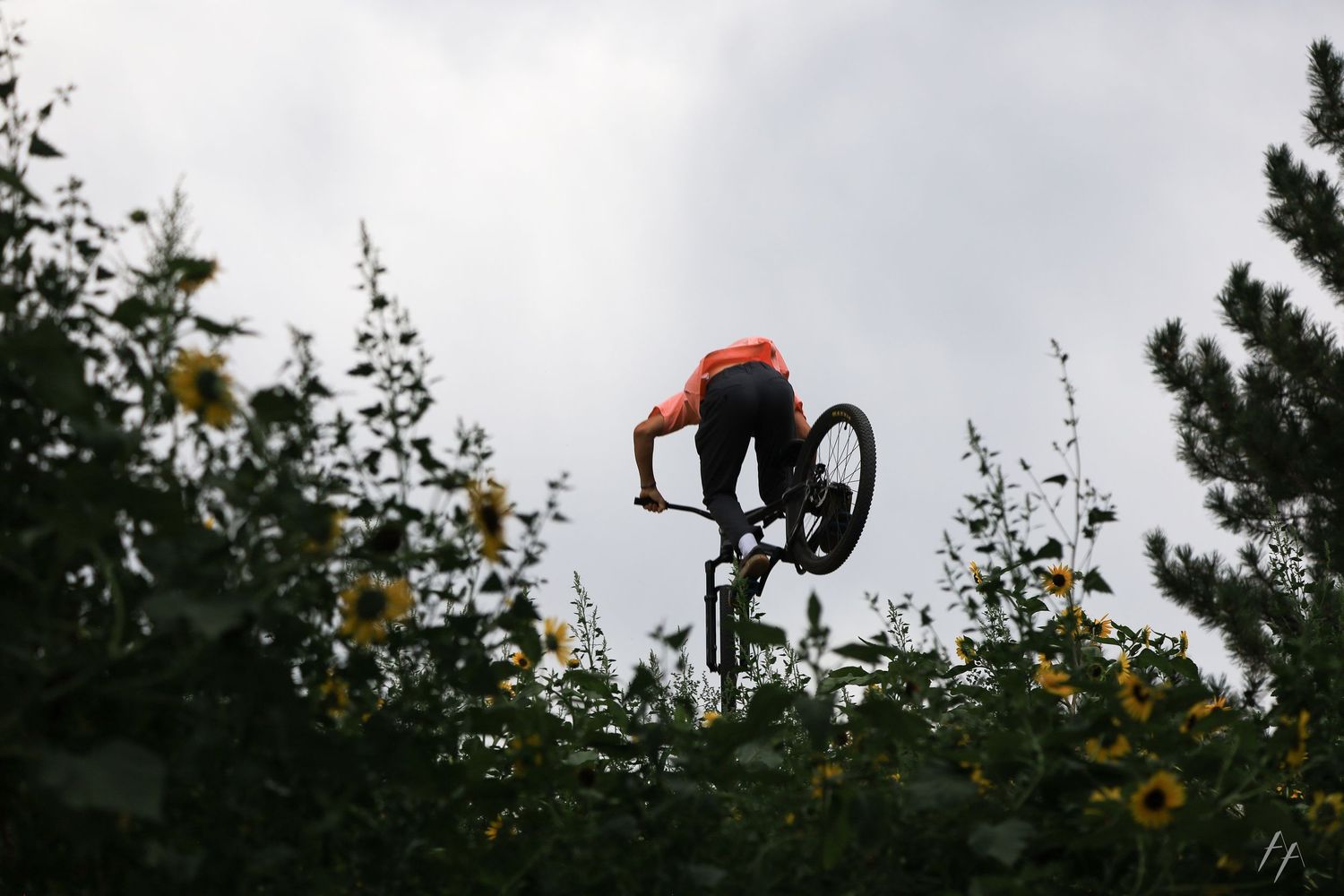 Mountain Bike Jump Portrait in Boulder Colorado