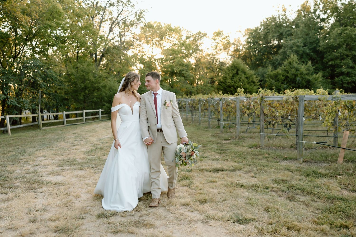 Newlyweds walking together through rustic vineyard at sunset.