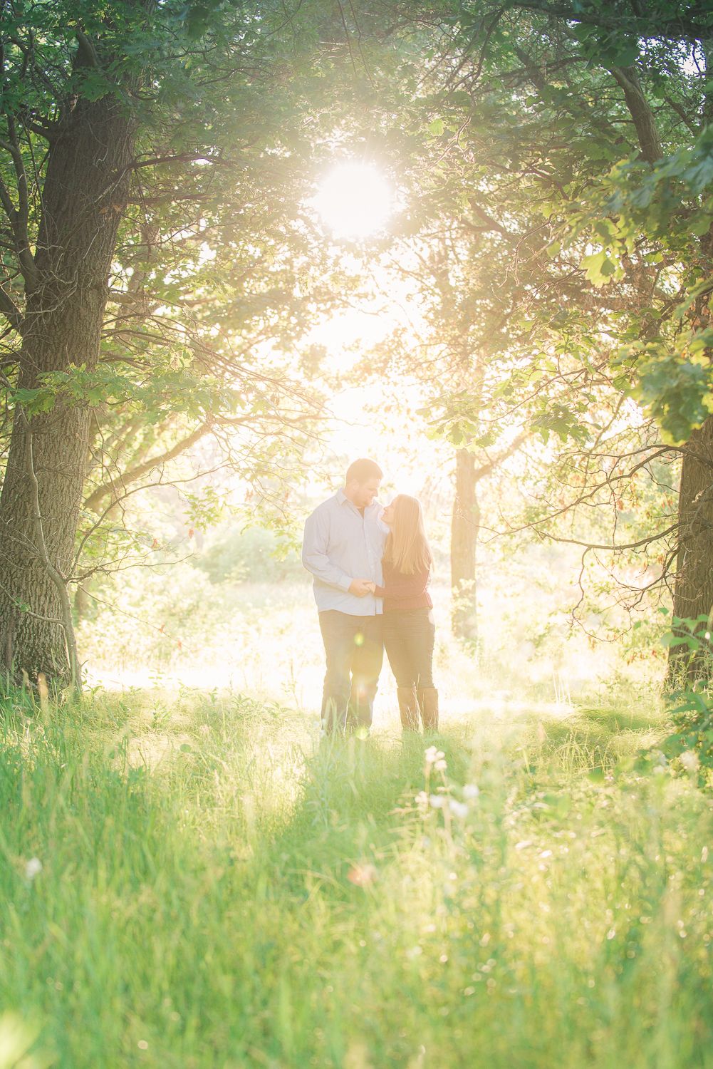 Couple shares an intimate moment in a sunlit meadow with golden light streaming through tall trees.