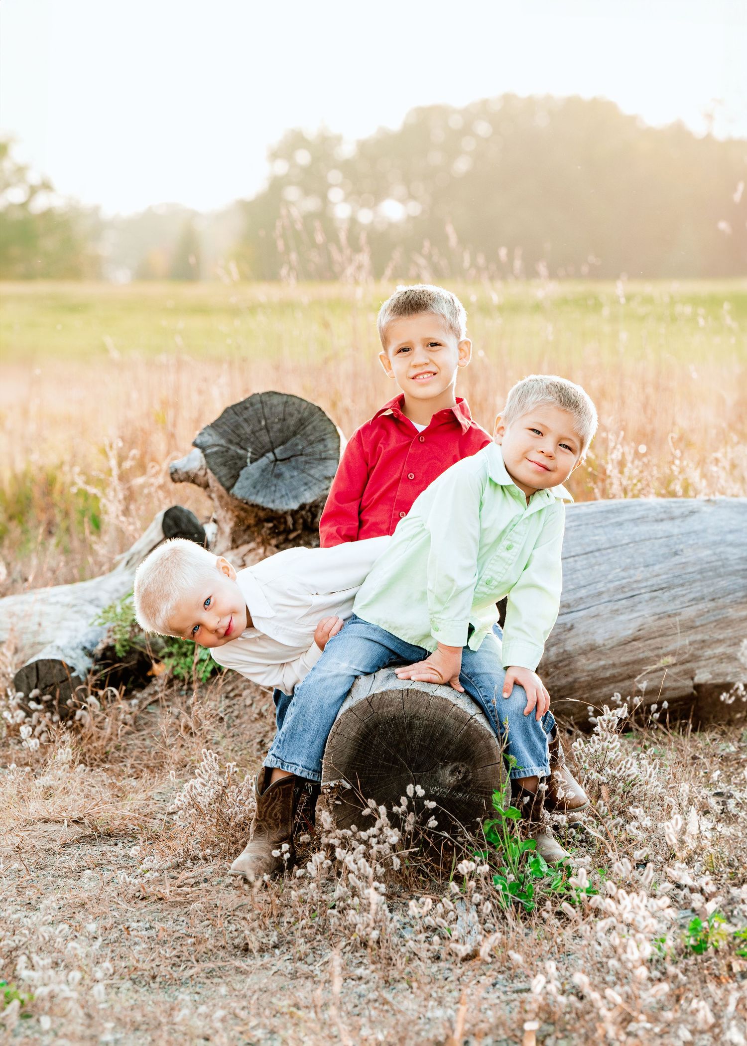 Two children in colorful shirts sit outdoors on a fallen log at golden hour with tall grass in the background. Princeton MN Milestone, Mater