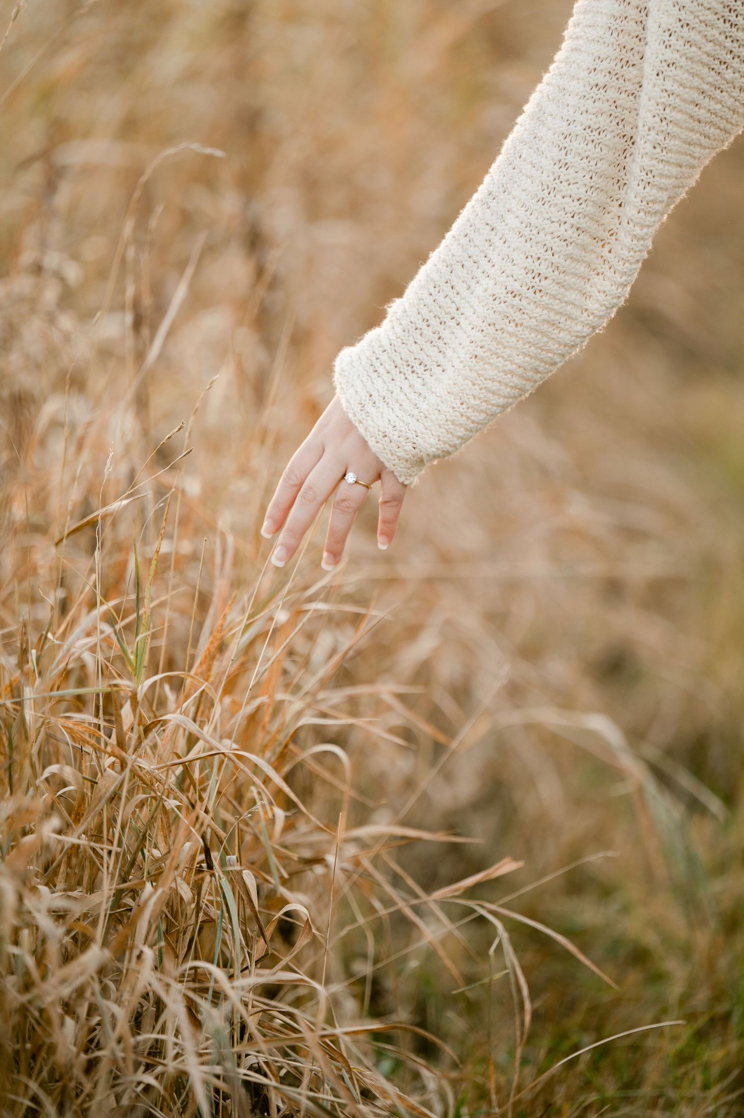 Hand in cream sweater gently touches delicate dried grass stems in a golden autumn field. St cloud area engagement photos.