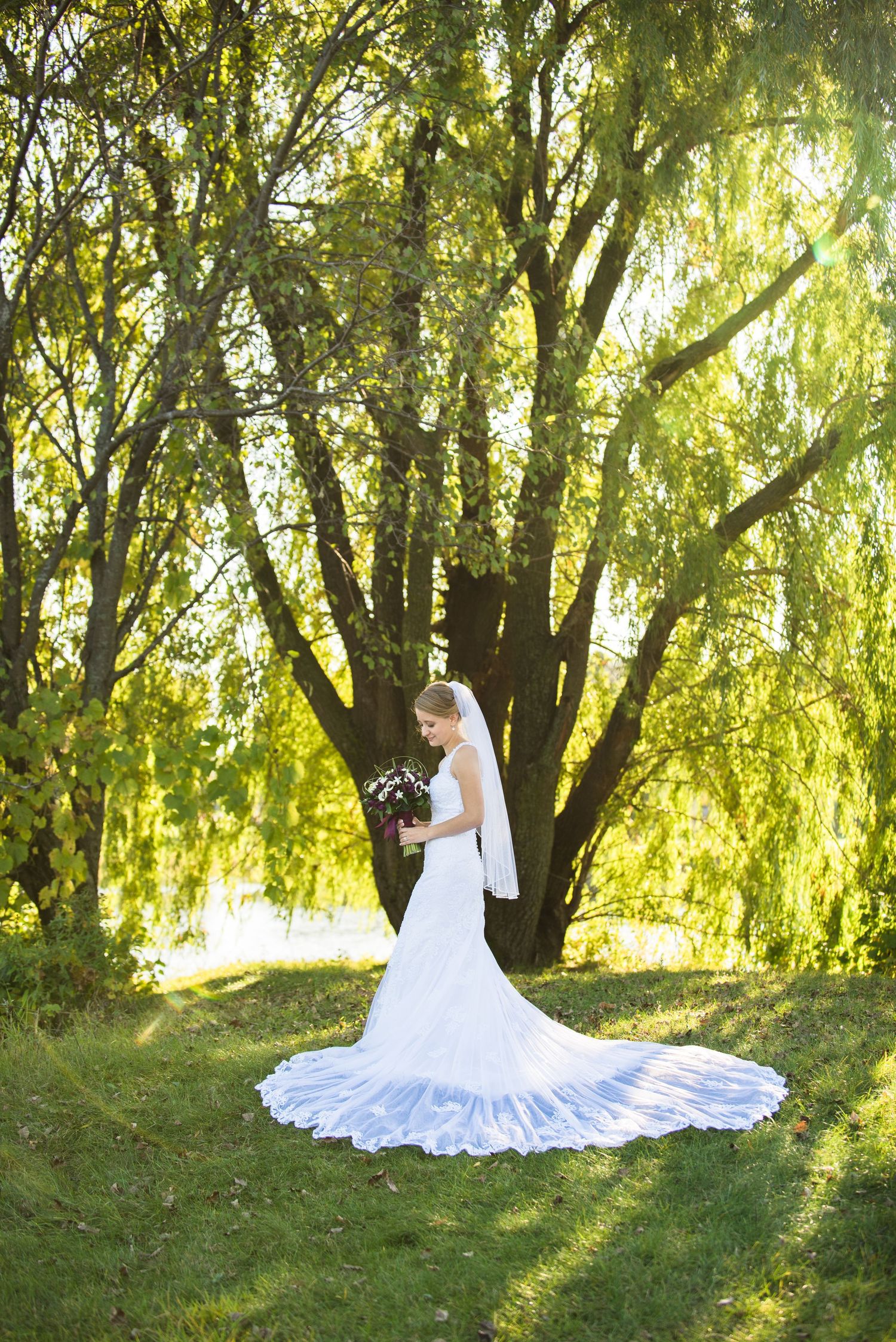 Elegant bride in lace wedding gown with long train poses beneath majestic willow tree. Andover wedding at Magestic Oaks Golf Club