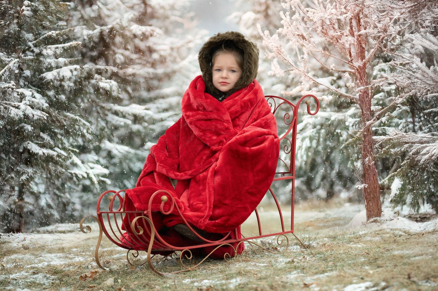 Red blanket on vintage sleigh amid snowy winter forest with evergreen trees in dreamy holiday scene.
