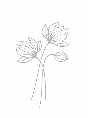 Simple line drawing of two delicate flower blooms with leaves on long stems in a minimalist gray sketch style.