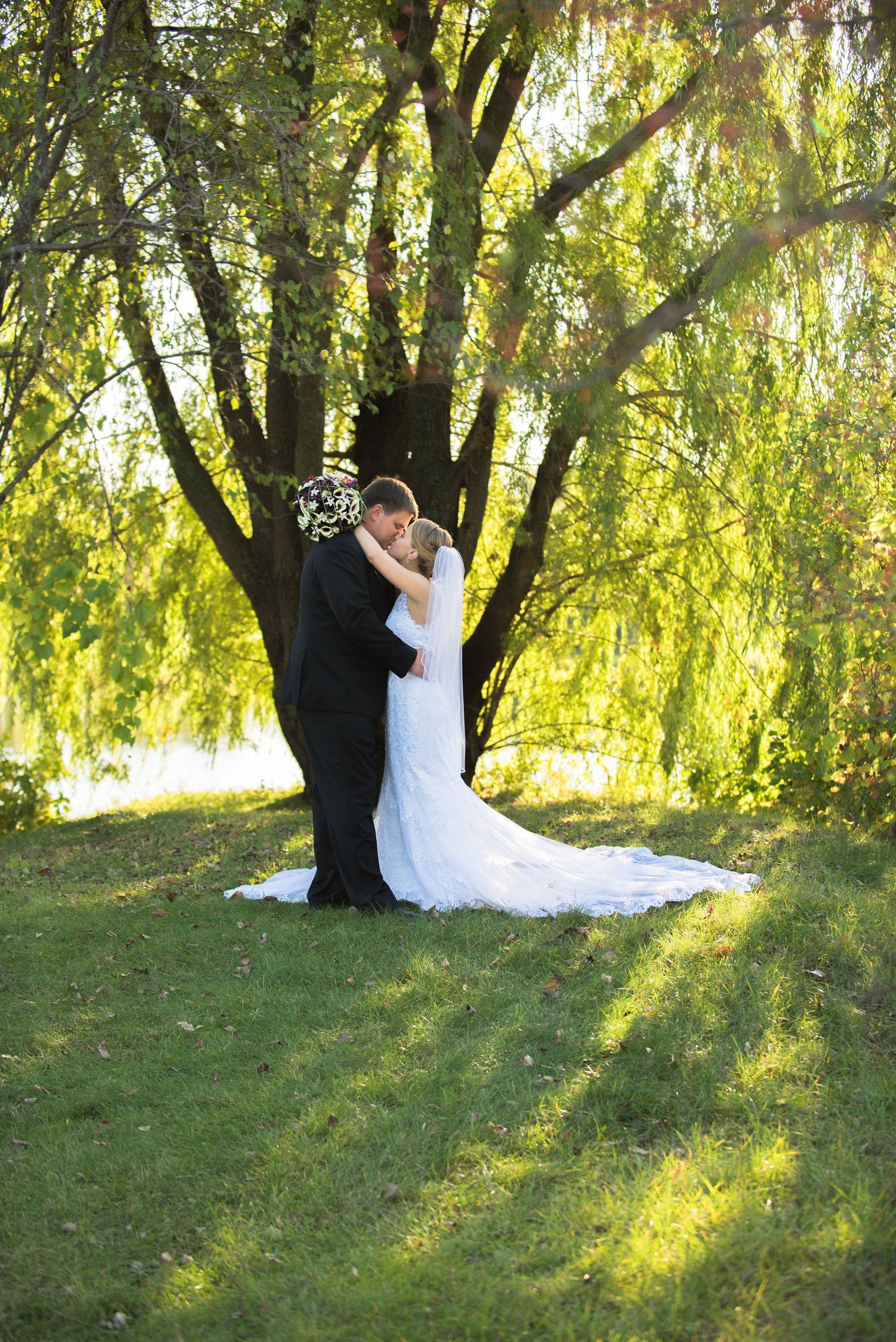 Romantic wedding portrait under a weeping willow tree with sunlight filtering through branches. Andover wedding at Magestic Oaks Golf Club